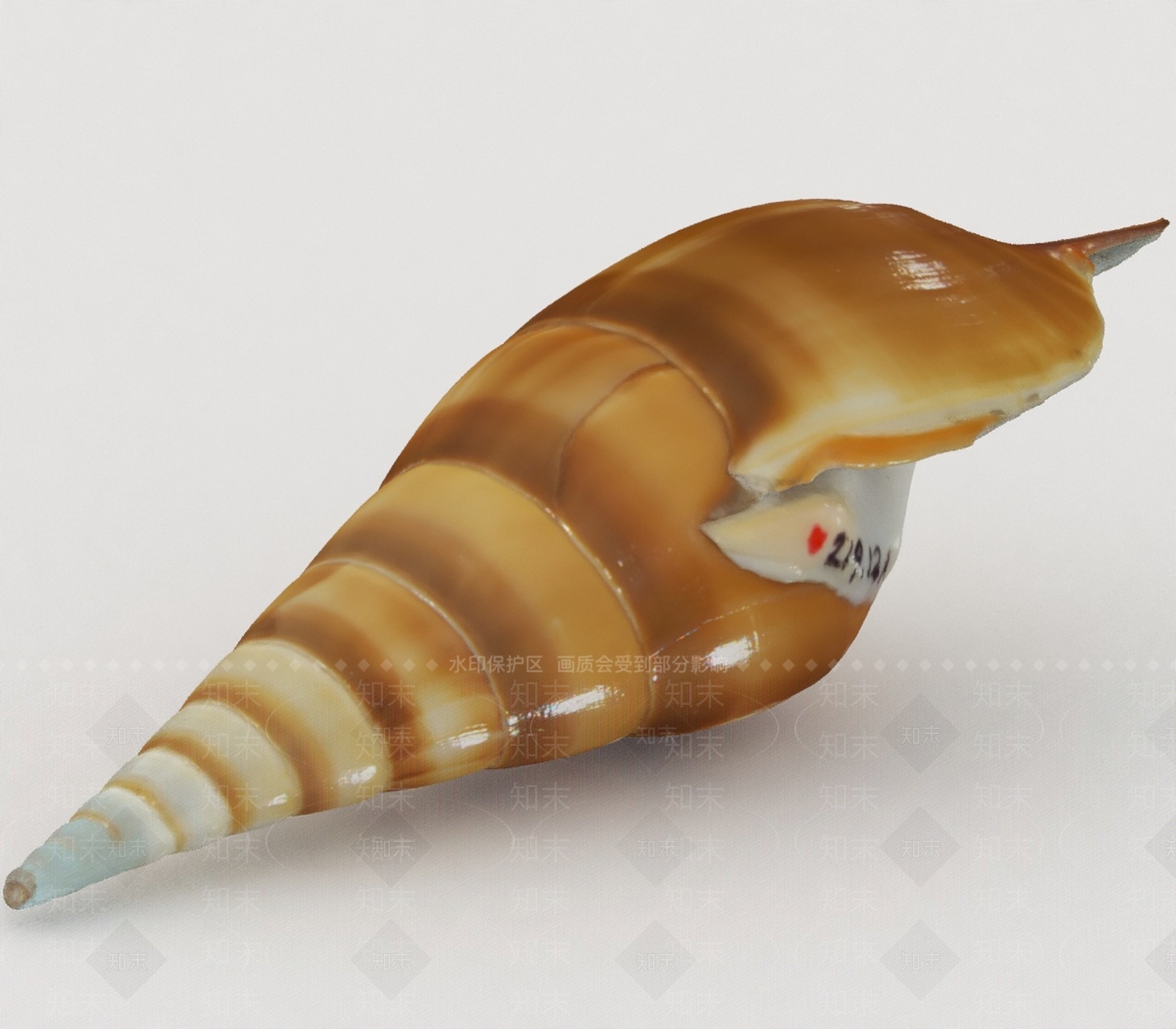 水生类动物3D模型下载【ID:1197074596】
