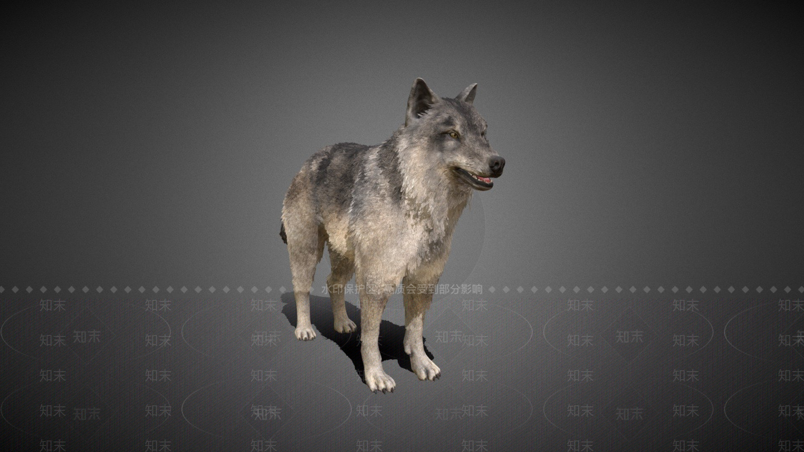 虚拟人物3D模型下载【ID:1197074845】