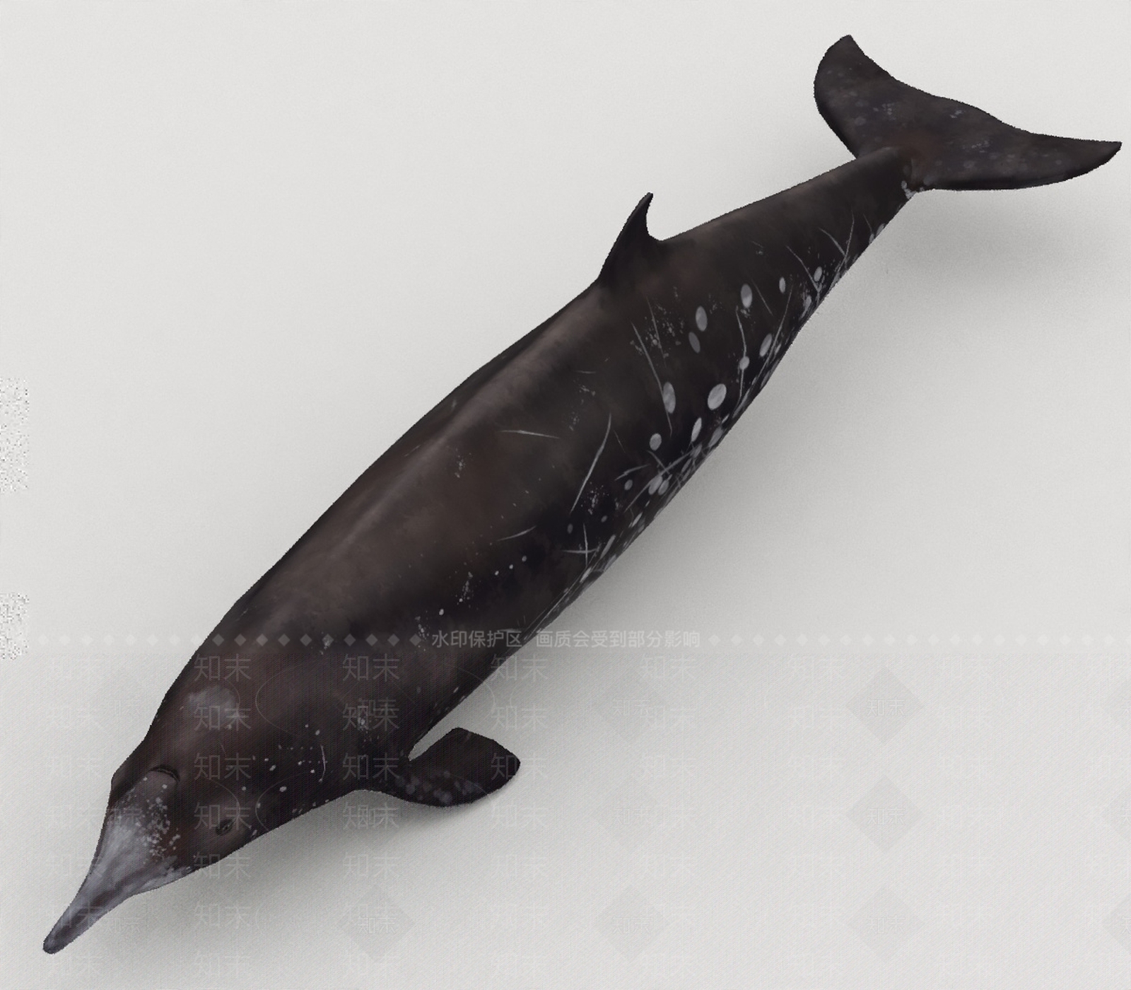 水生类动物3D模型下载【ID:1197074930】