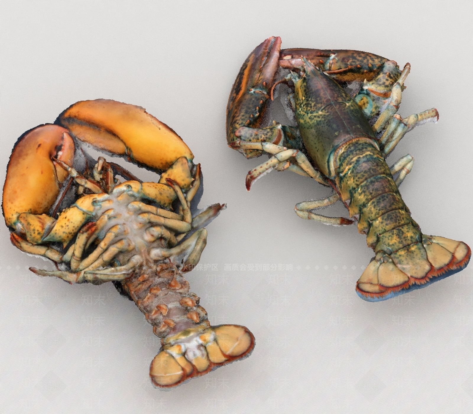 水生类动物3D模型下载【ID:1197075090】