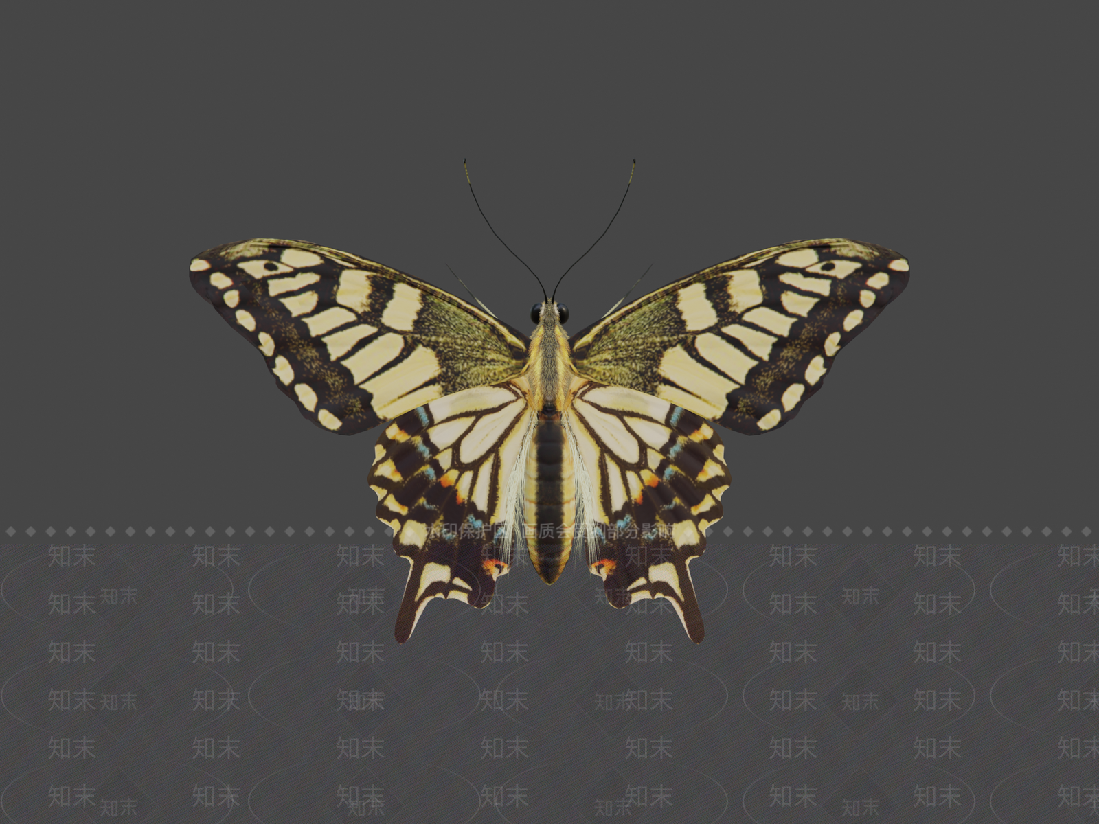 其他动物3D模型下载【ID:1197075466】