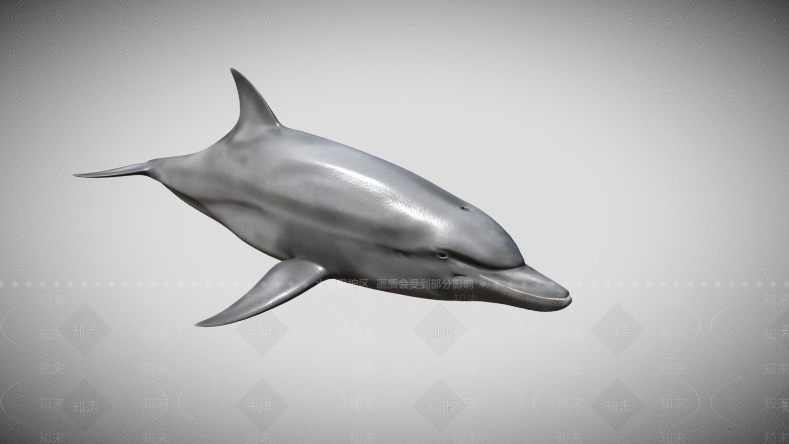 其他动物3D模型下载【ID:1197076959】
