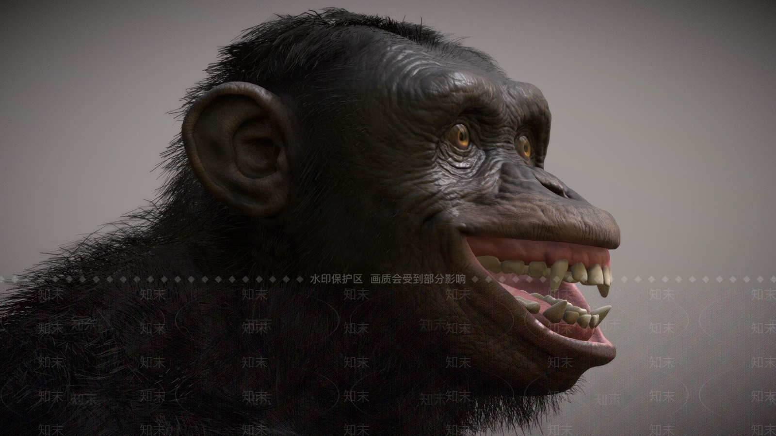其他动物3D模型下载【ID:1197077647】