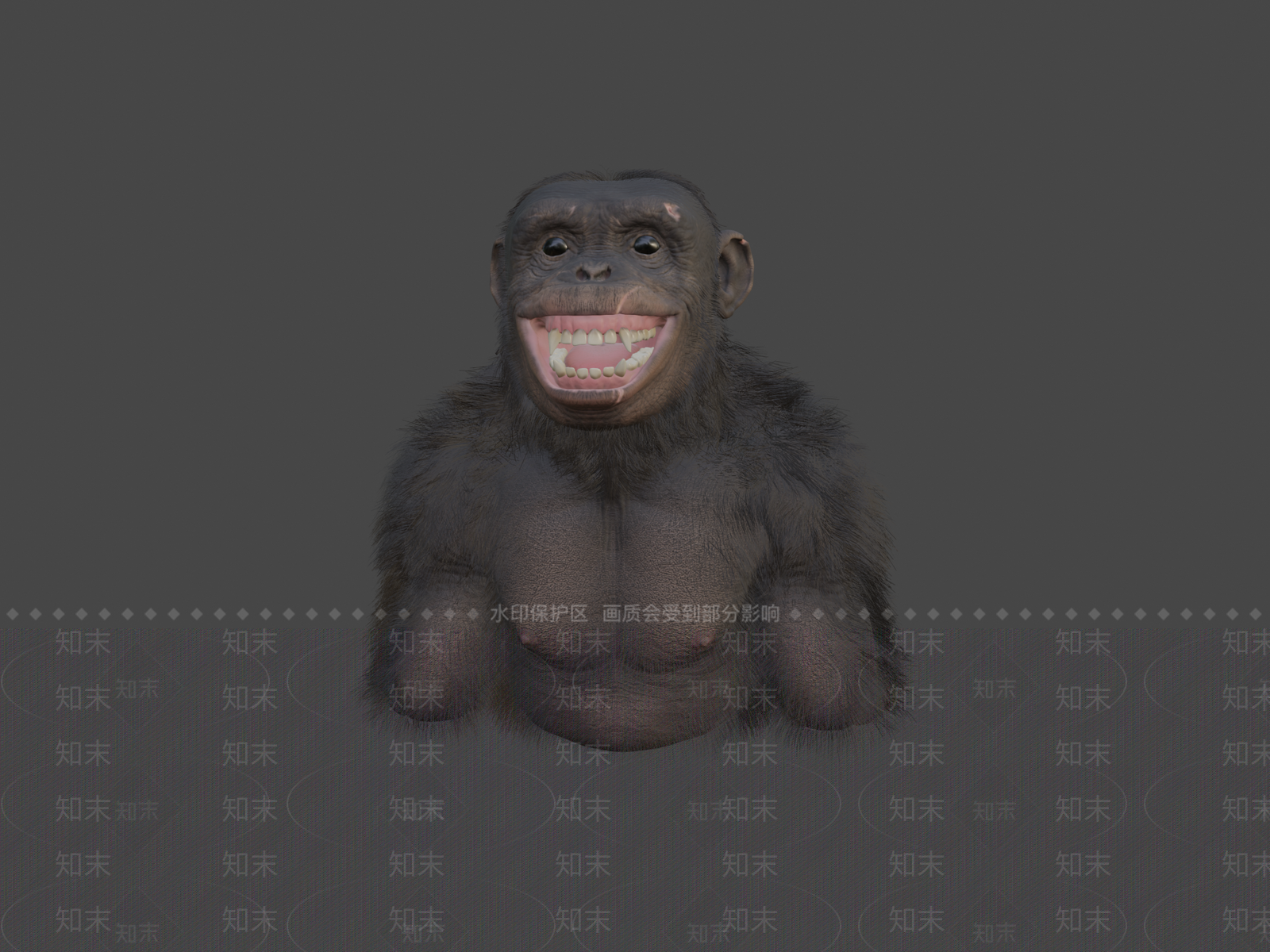 其他动物3D模型下载【ID:1197077647】