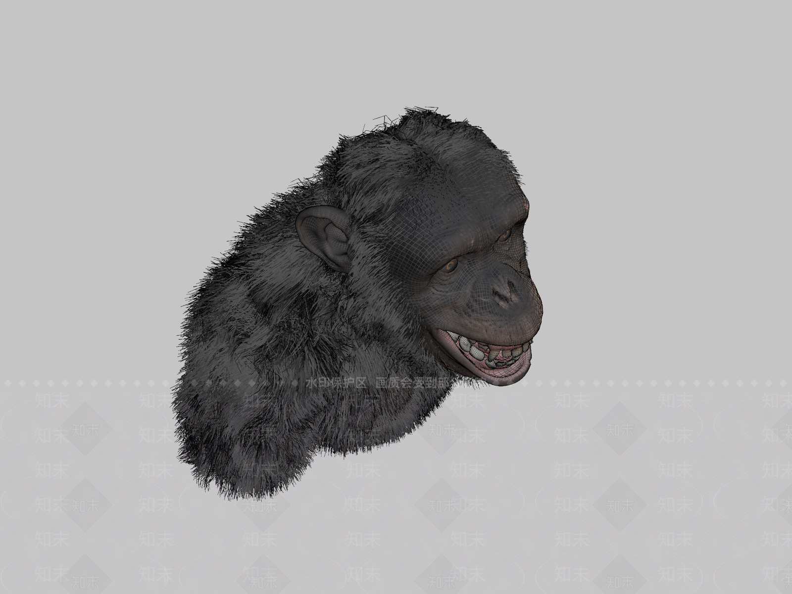其他动物3D模型下载【ID:1197077647】