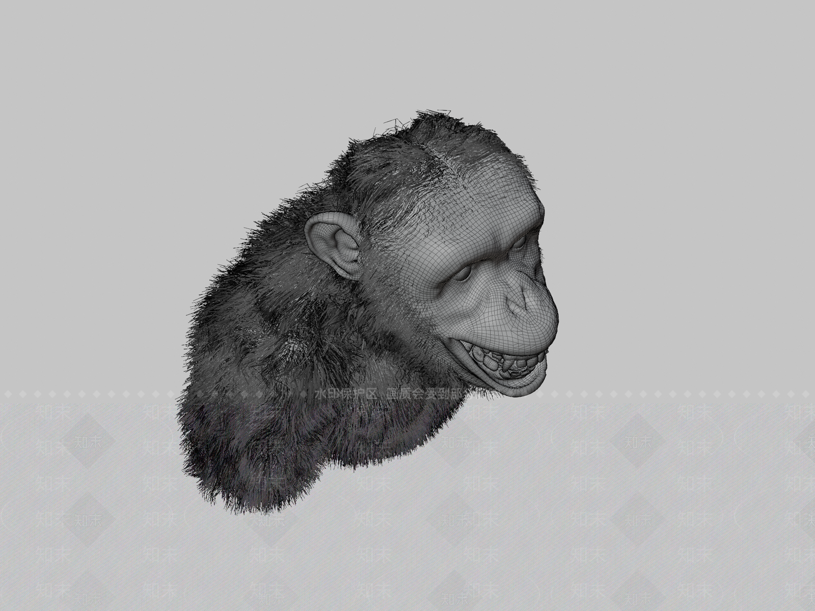其他动物3D模型下载【ID:1197077647】
