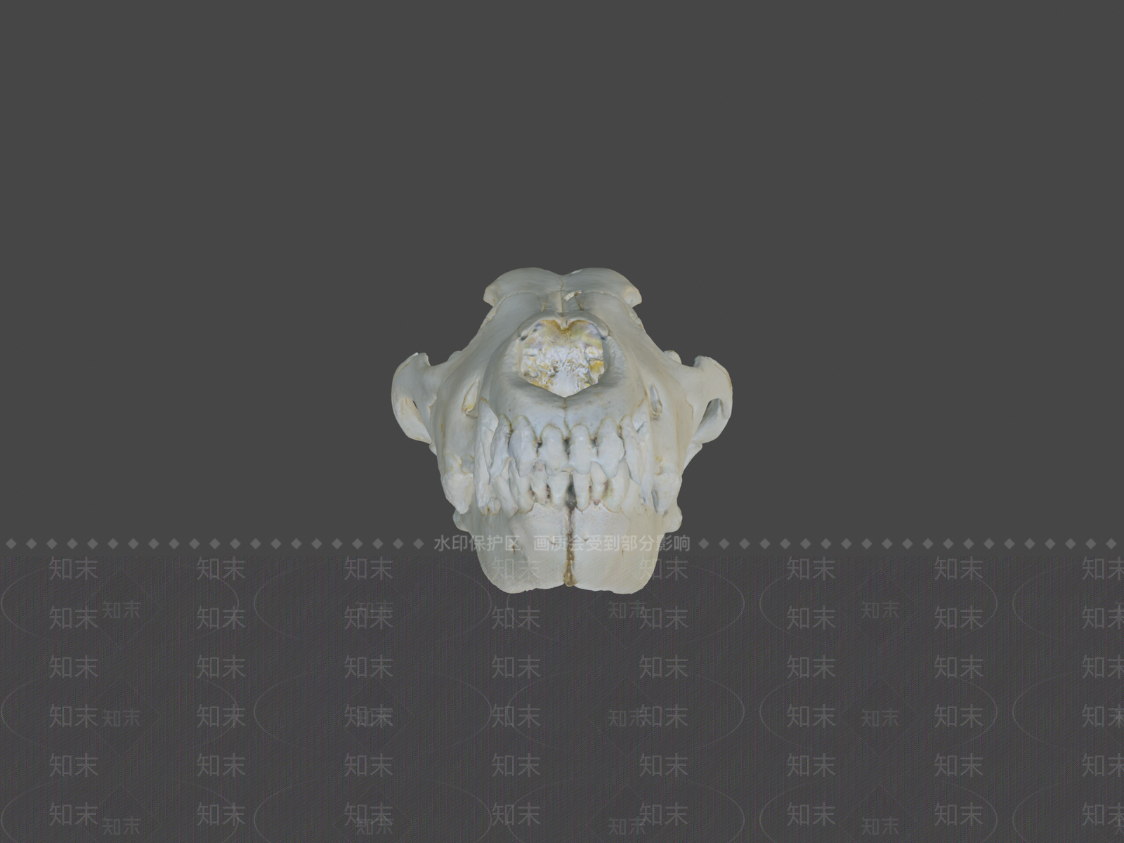 其他动物3D模型下载【ID:1197078160】