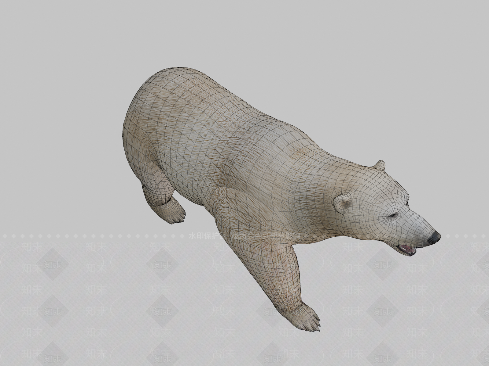其他动物3D模型下载【ID:1197078719】