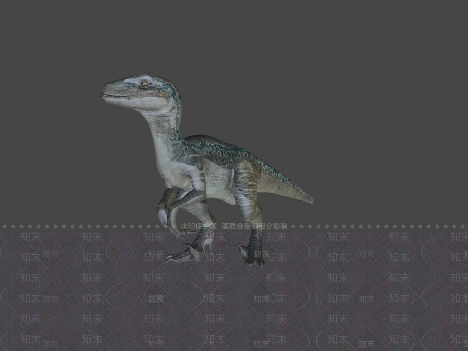其他动物3D模型下载【ID:1197078947】