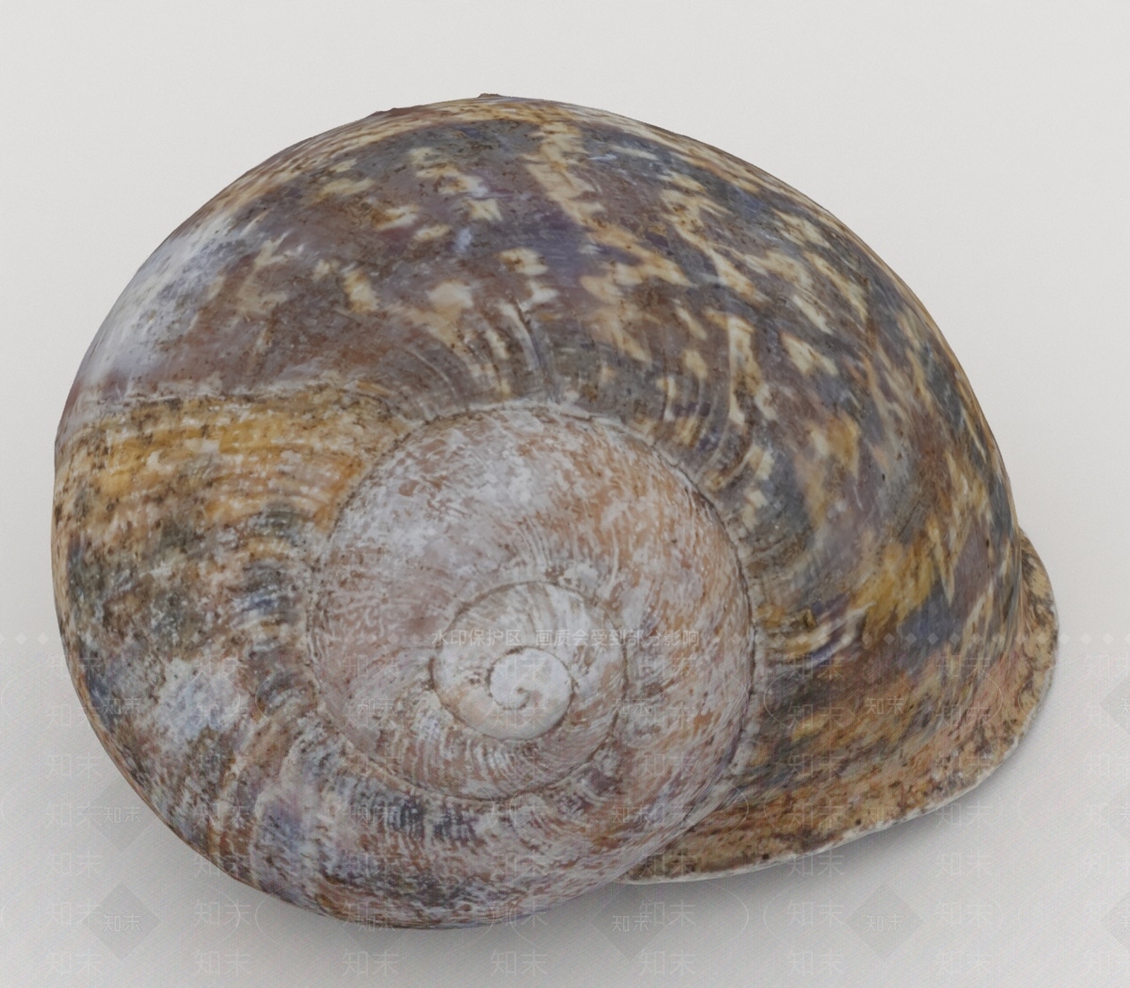 水生类动物3D模型下载【ID:1197085460】