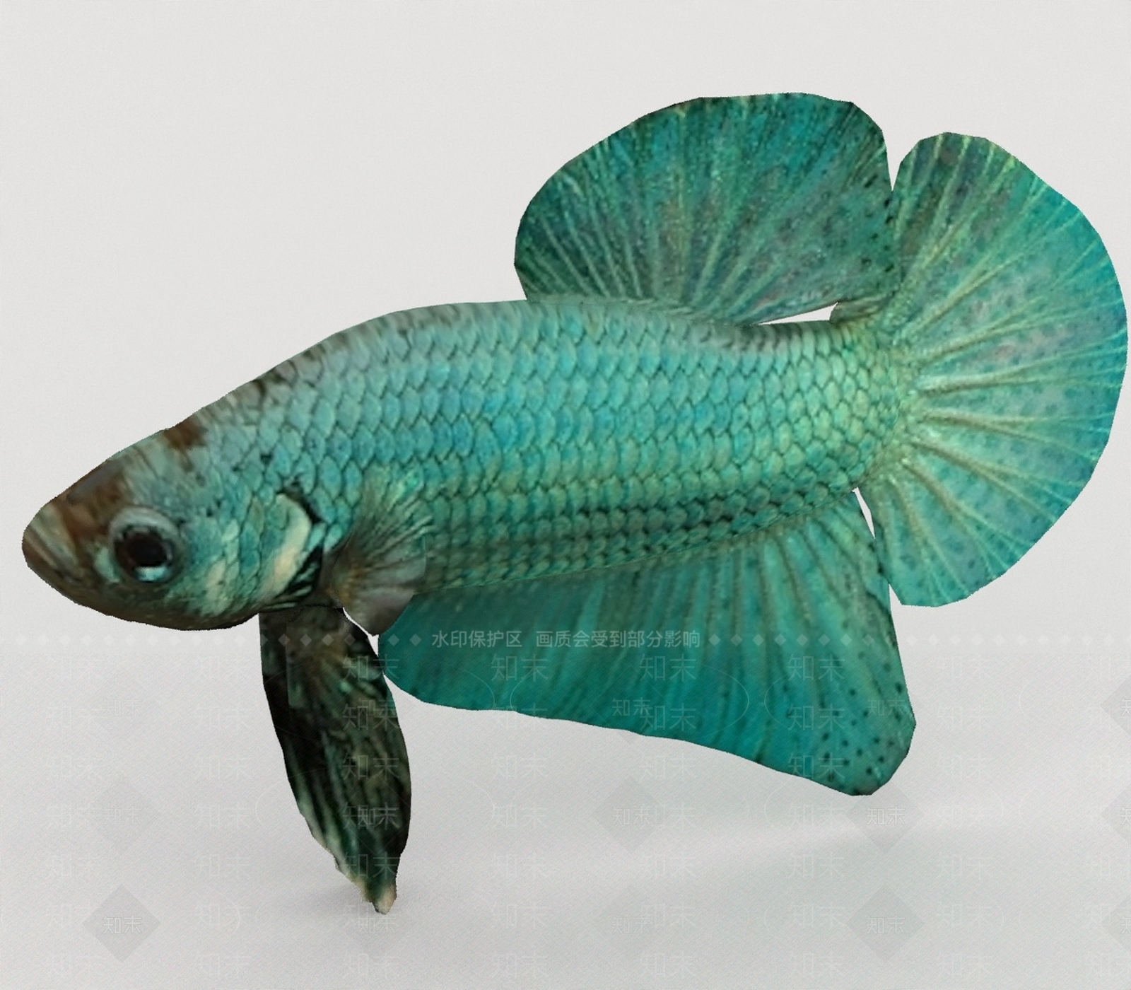 水生类动物3D模型下载【ID:1197085417】