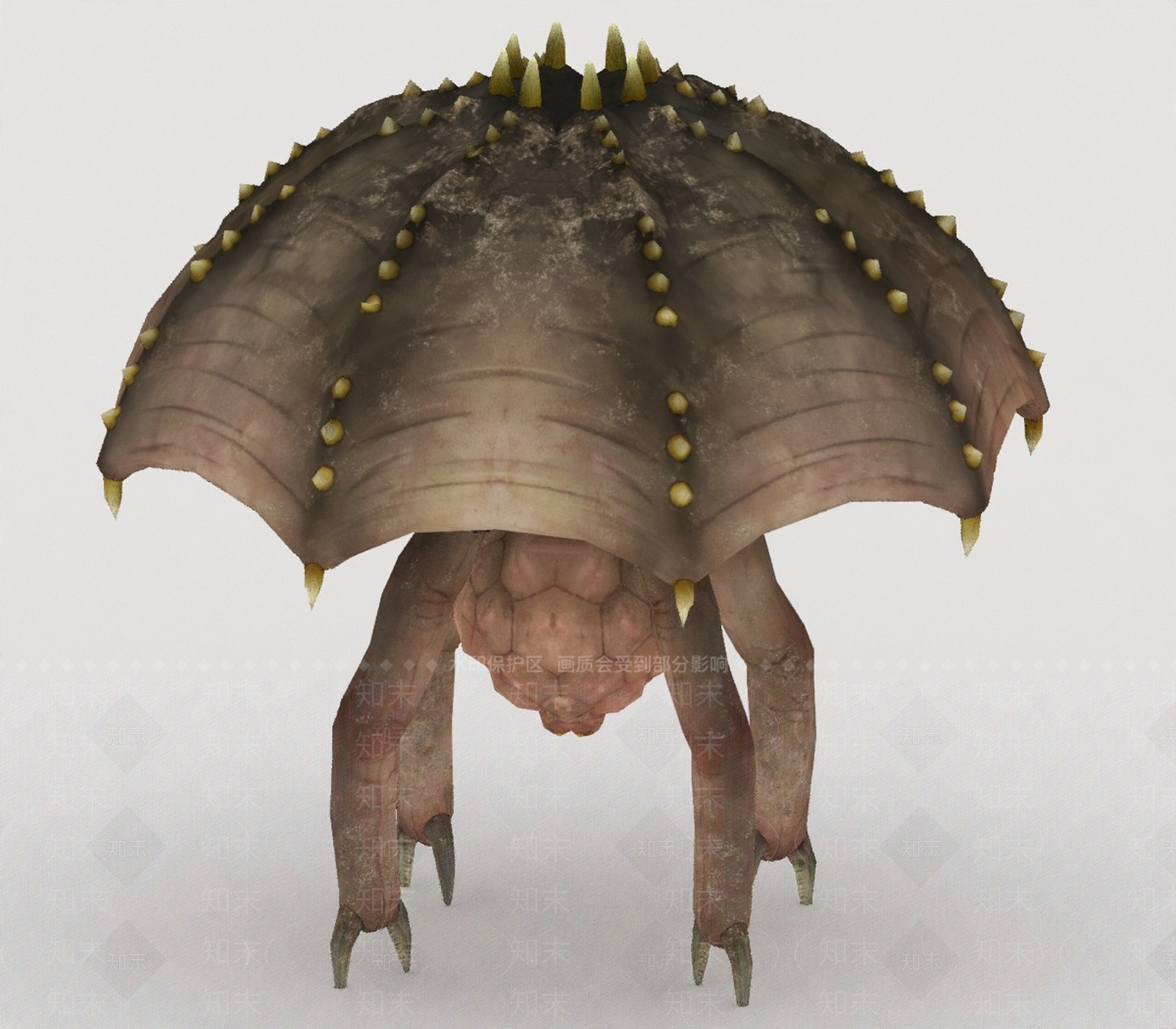飞行类动物3D模型下载【ID:1197085740】