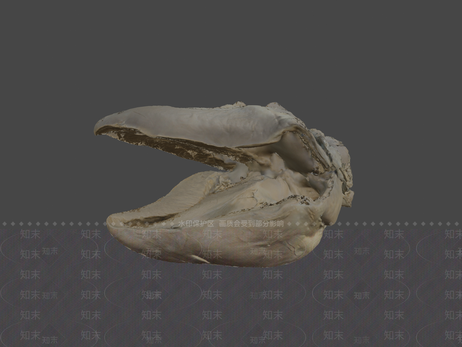 虚拟人物3D模型下载【ID:1197105460】