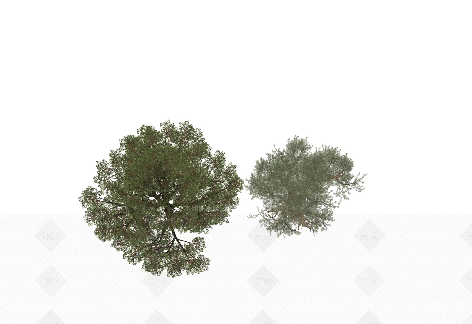 乔木SU模型下载【ID:1197128658】