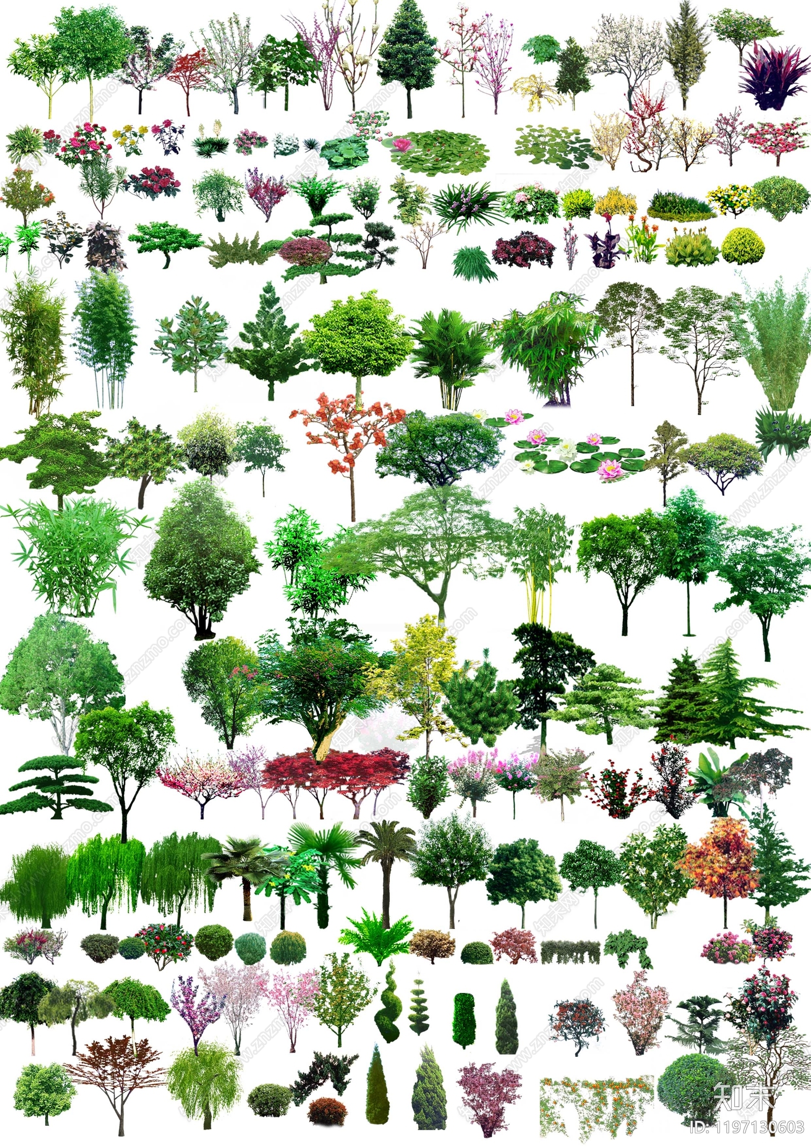 现代其他植物组合下载【ID:1197130603】