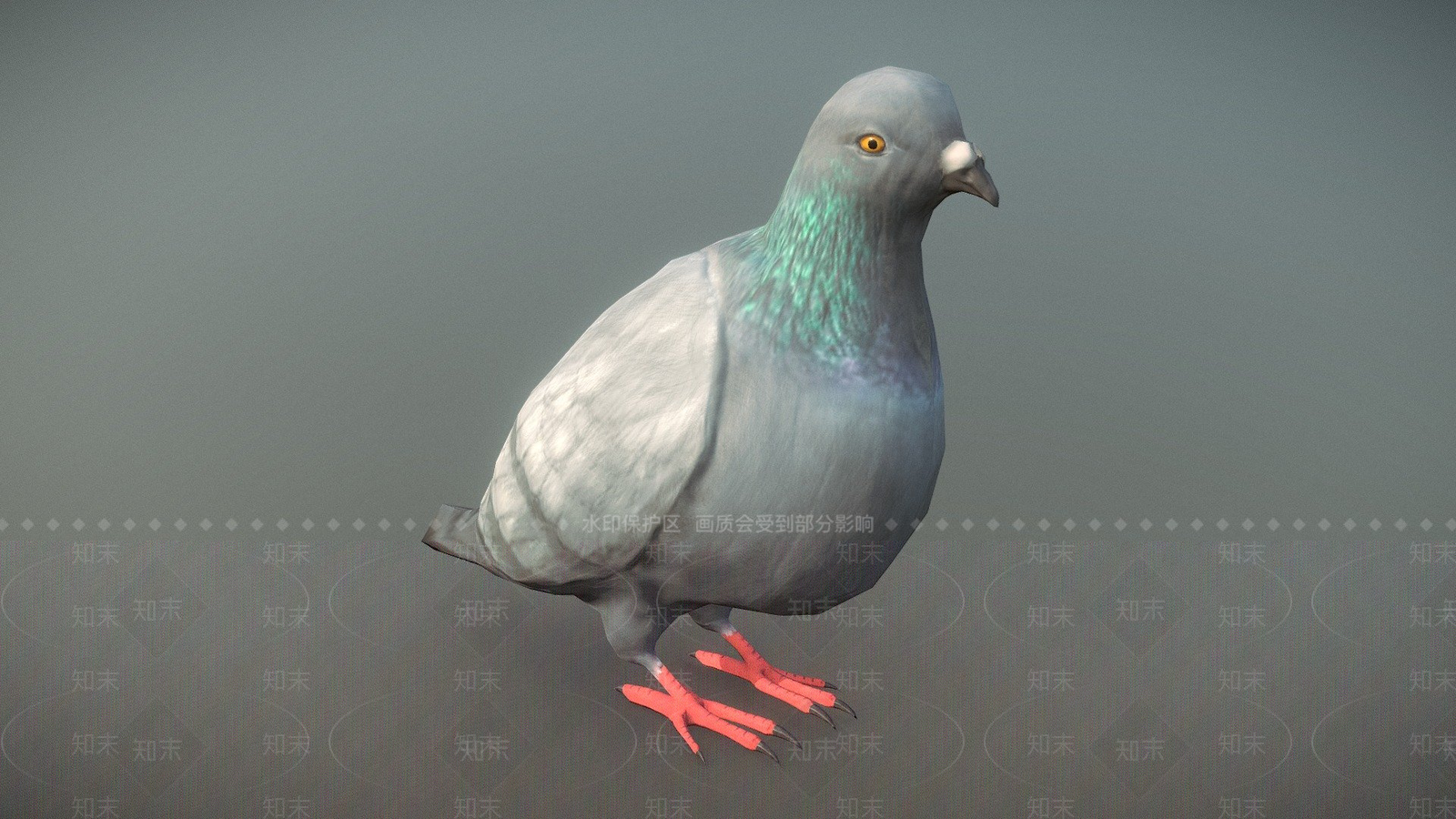 其他动物鸽子3D模型下载【ID:1197137492】