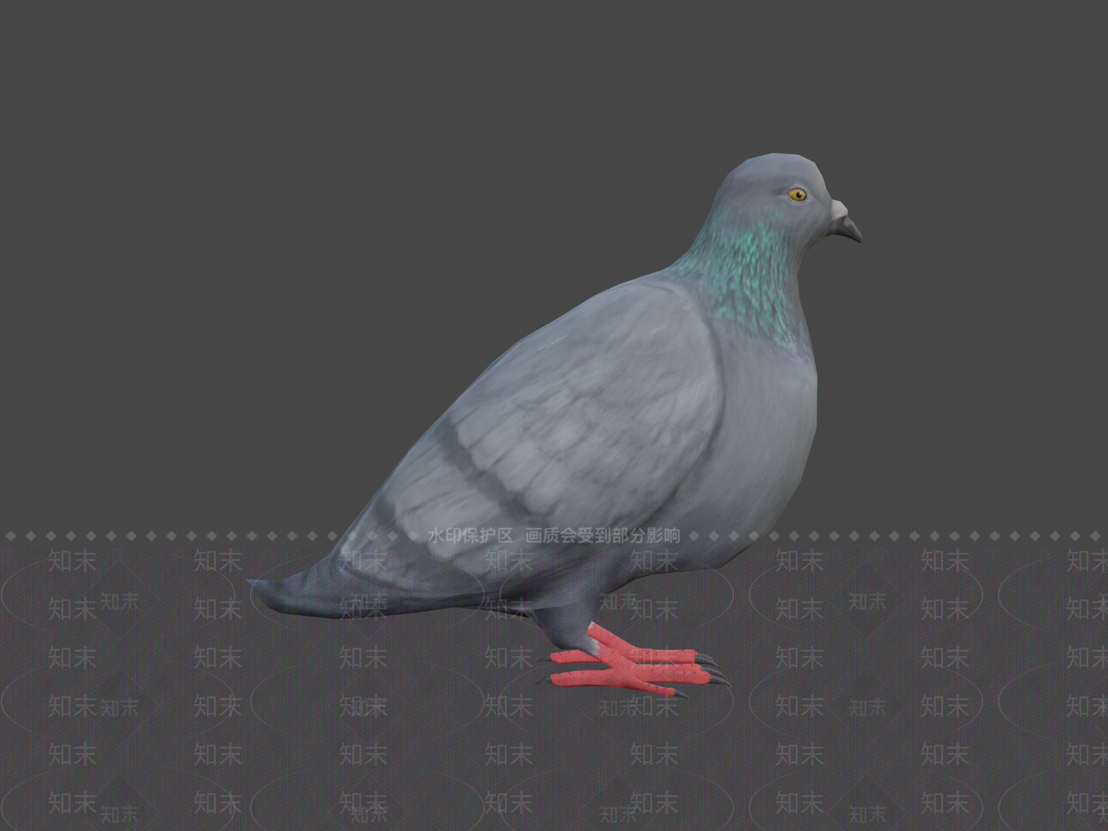 其他动物鸽子3D模型下载【ID:1197137492】