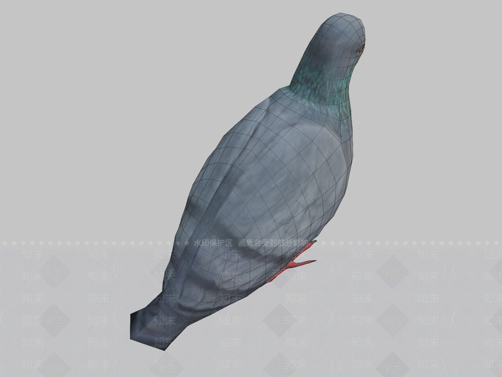其他动物鸽子3D模型下载【ID:1197137492】