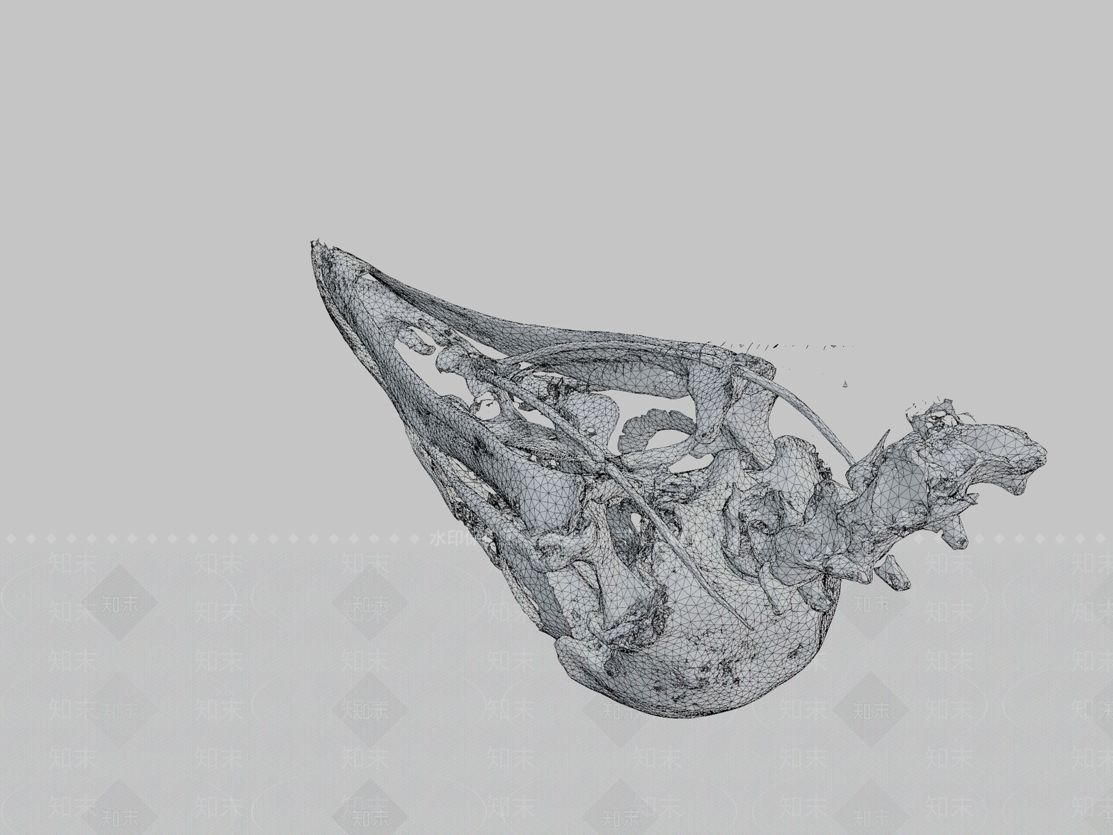 其他动物3D模型下载【ID:1197138578】