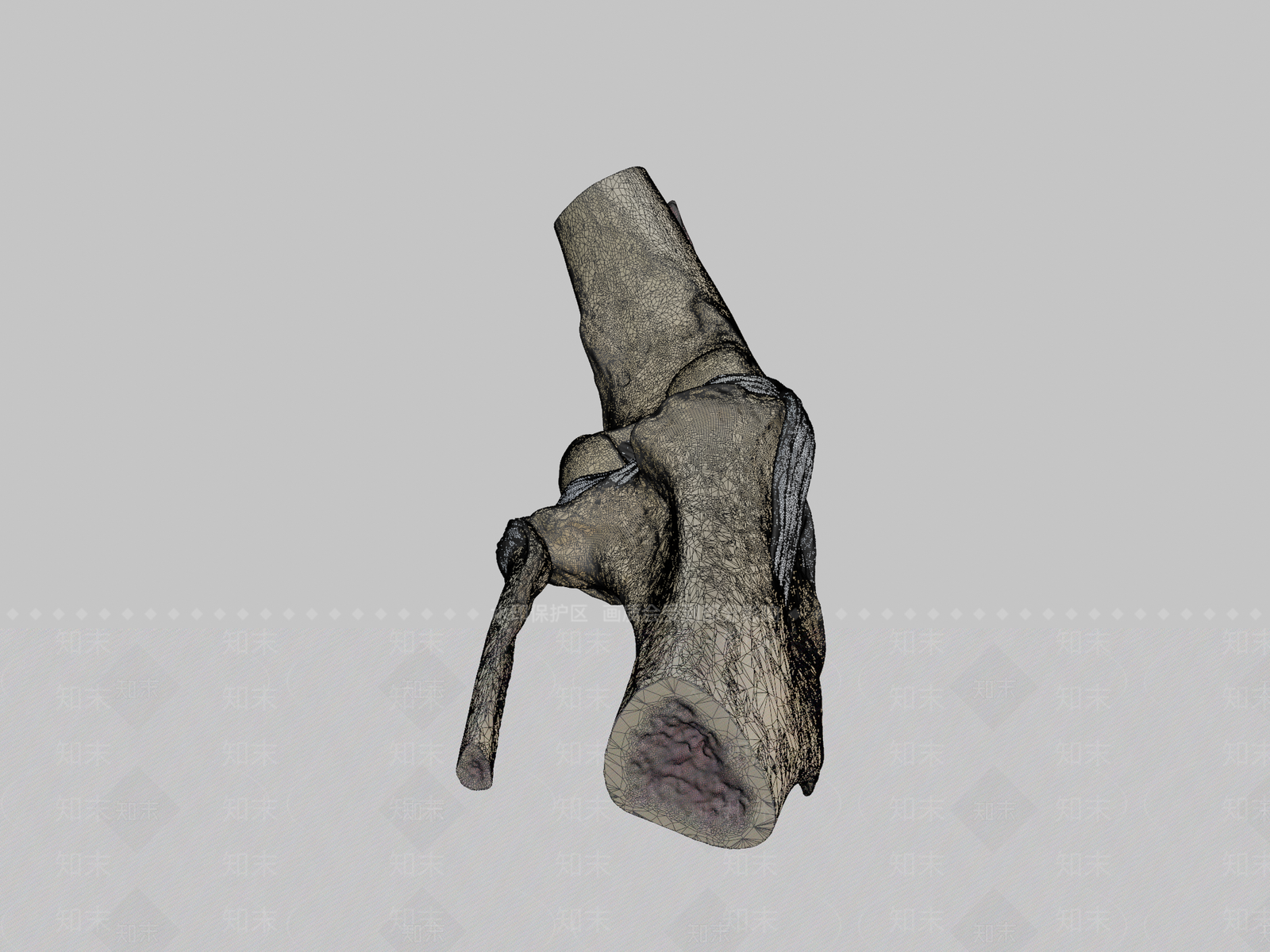 其他动物3D模型下载【ID:1197138807】