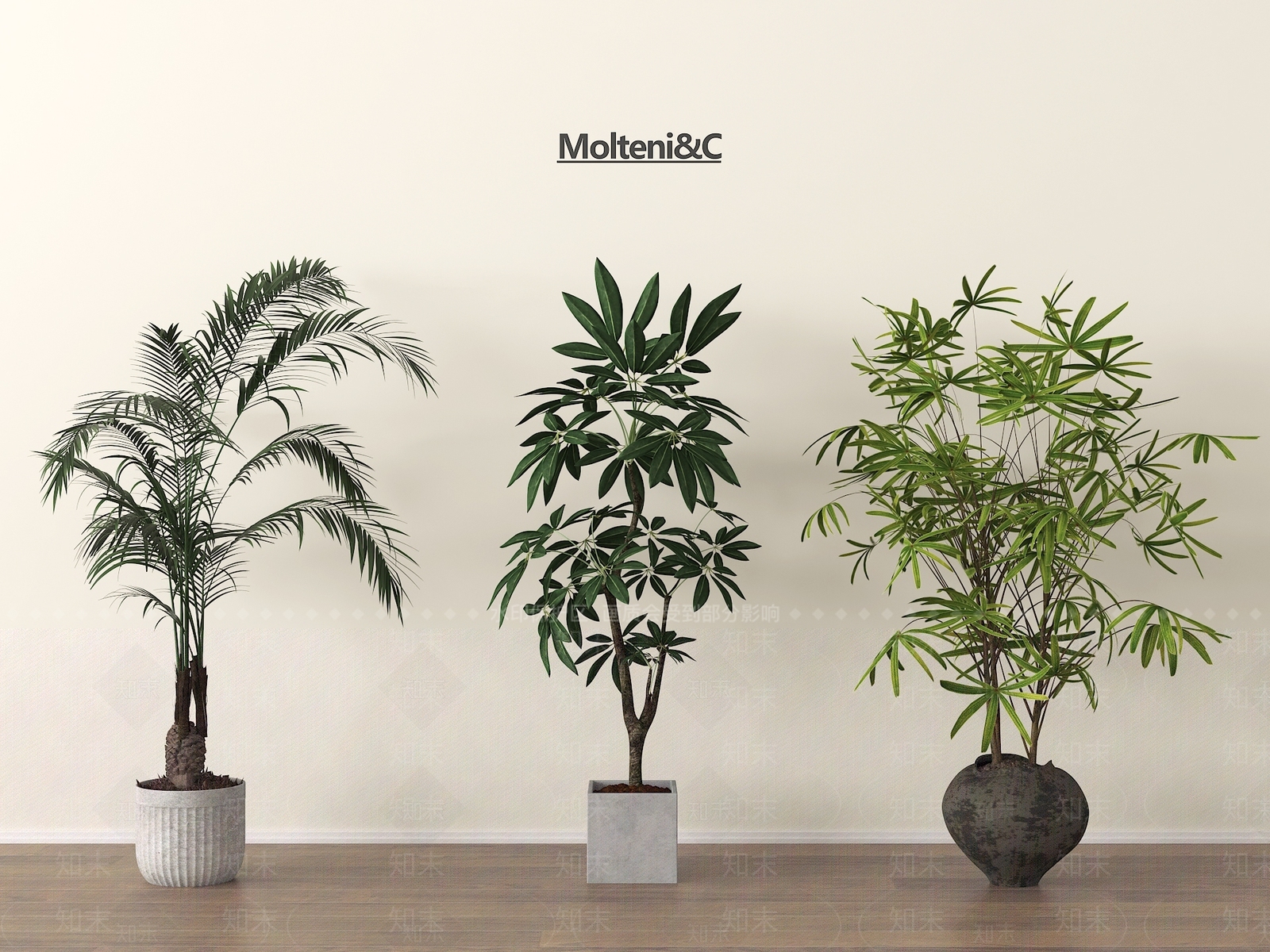 盆栽3D模型下载【ID:1197138930】
