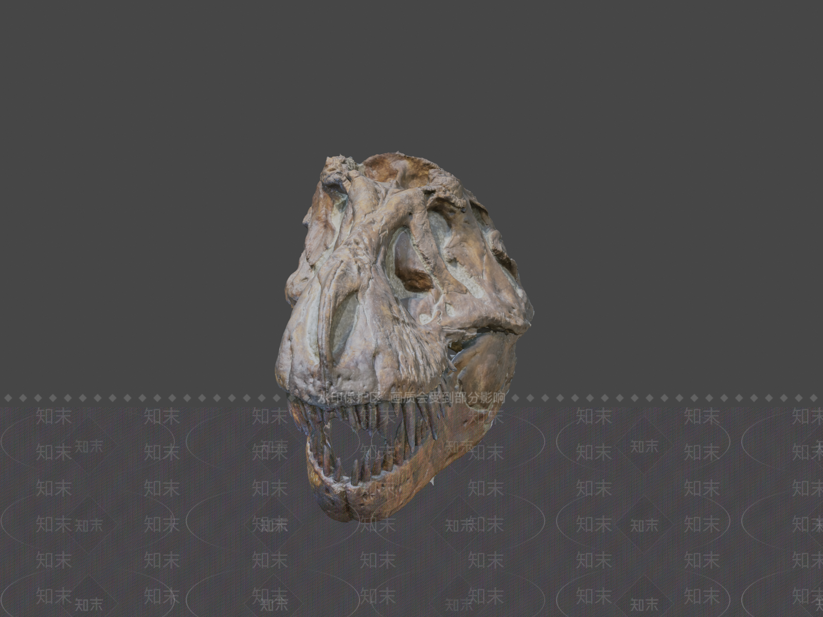 其他动物3D模型下载【ID:1197139103】