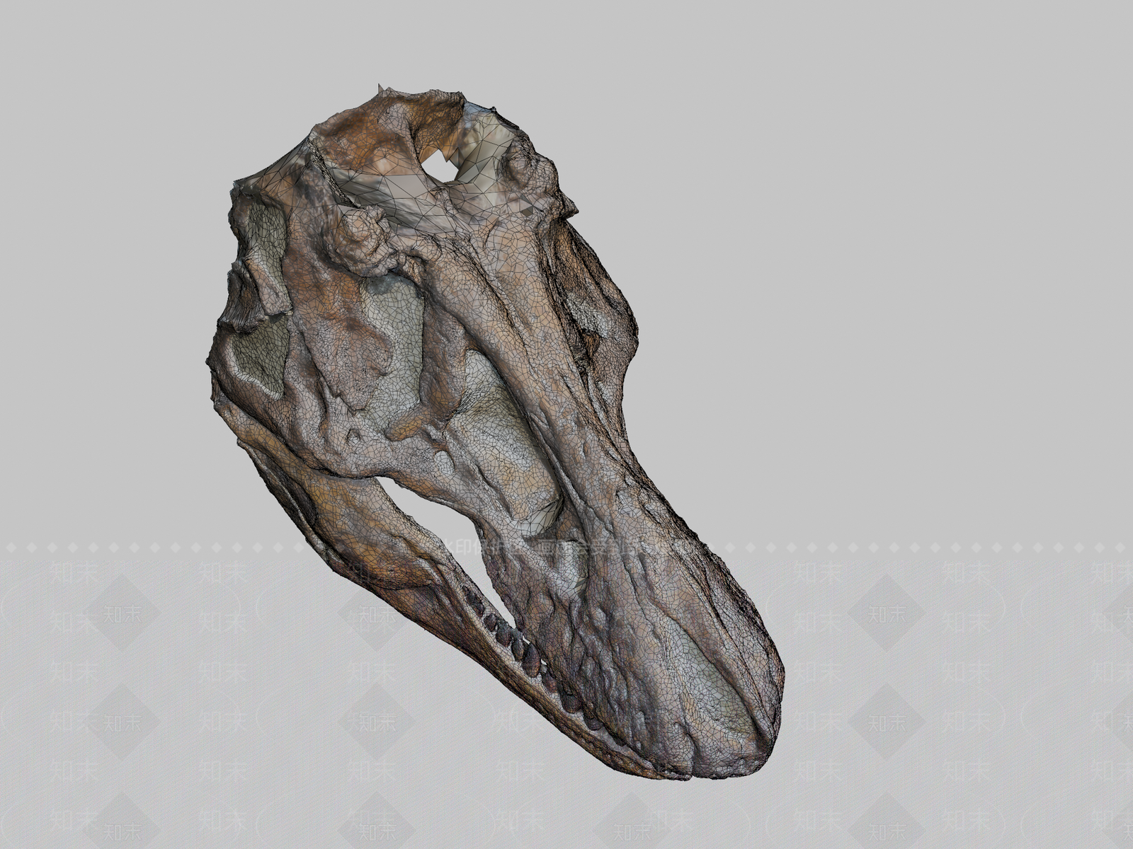 其他动物3D模型下载【ID:1197139103】
