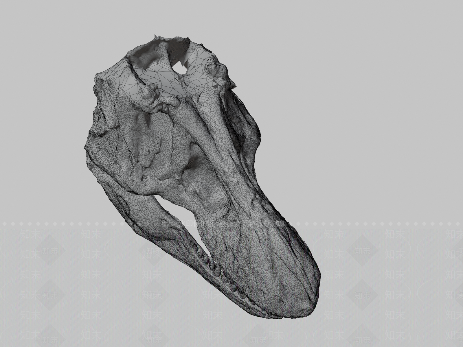 其他动物3D模型下载【ID:1197139103】