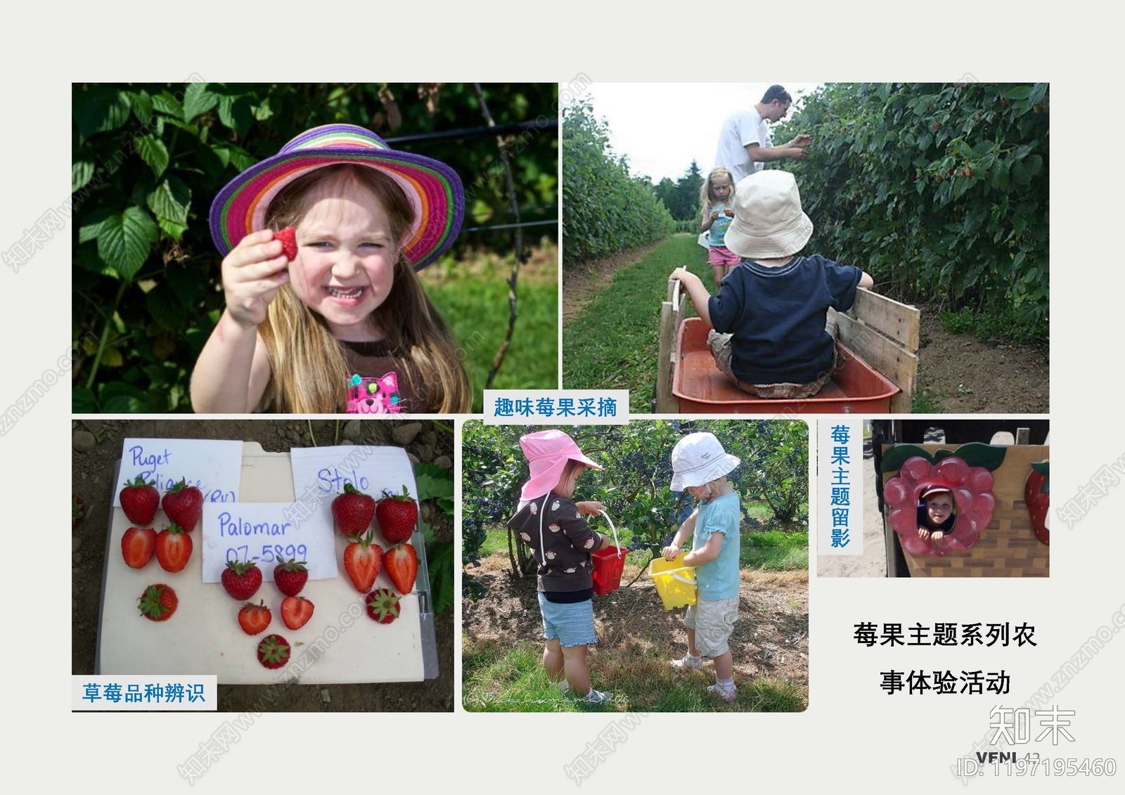现代标准手册下载【ID:1197195460】