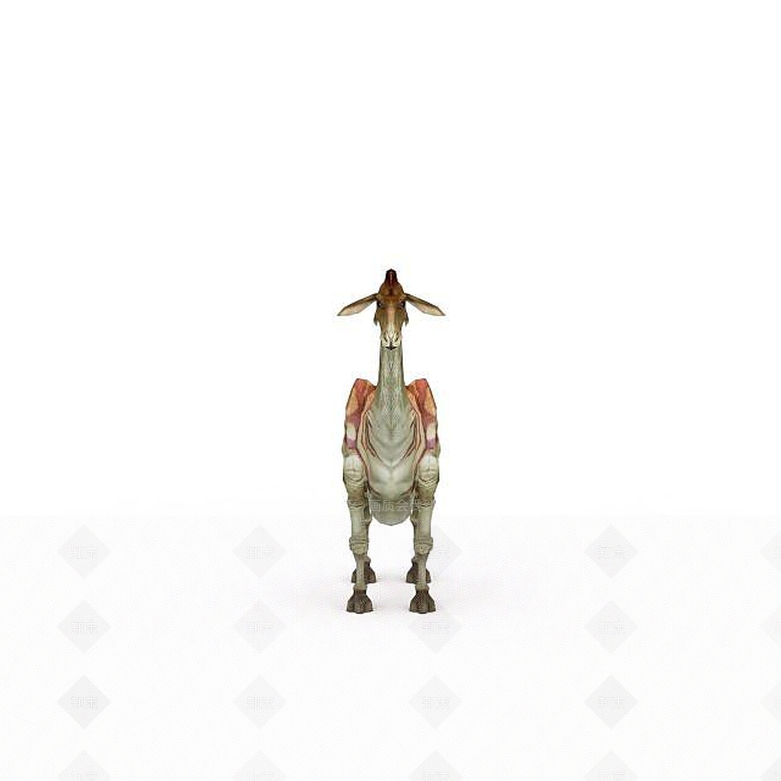 现代大型恐龙3D模型下载【ID:1197209741】