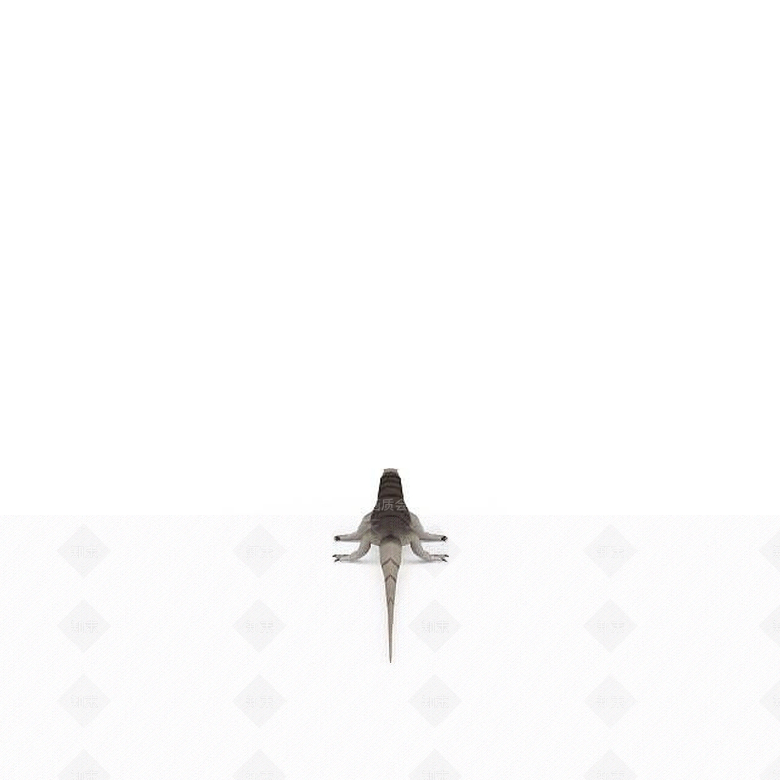 现代壁虎3D模型下载【ID:1197223409】