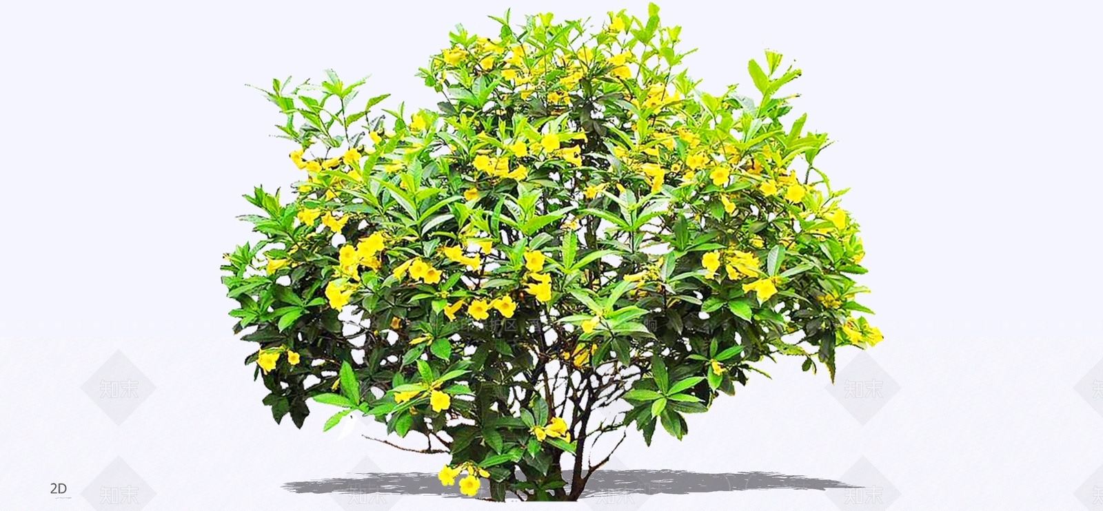 灌木SU模型下载【ID:1197226200】