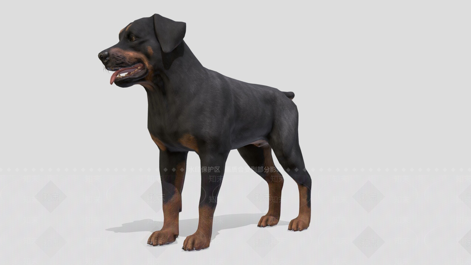 其他动物3D模型下载【ID:1197229823】