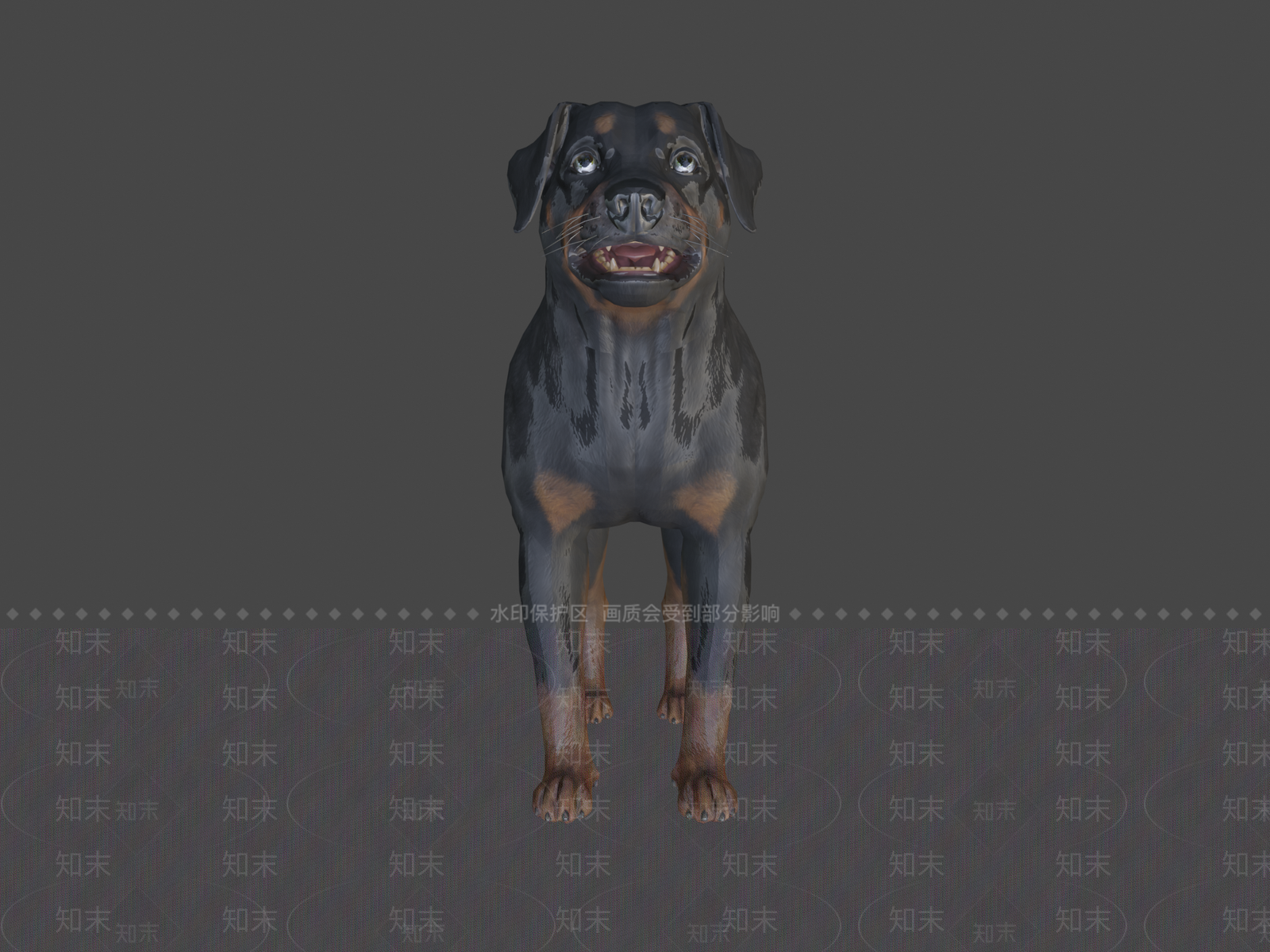 其他动物3D模型下载【ID:1197229823】