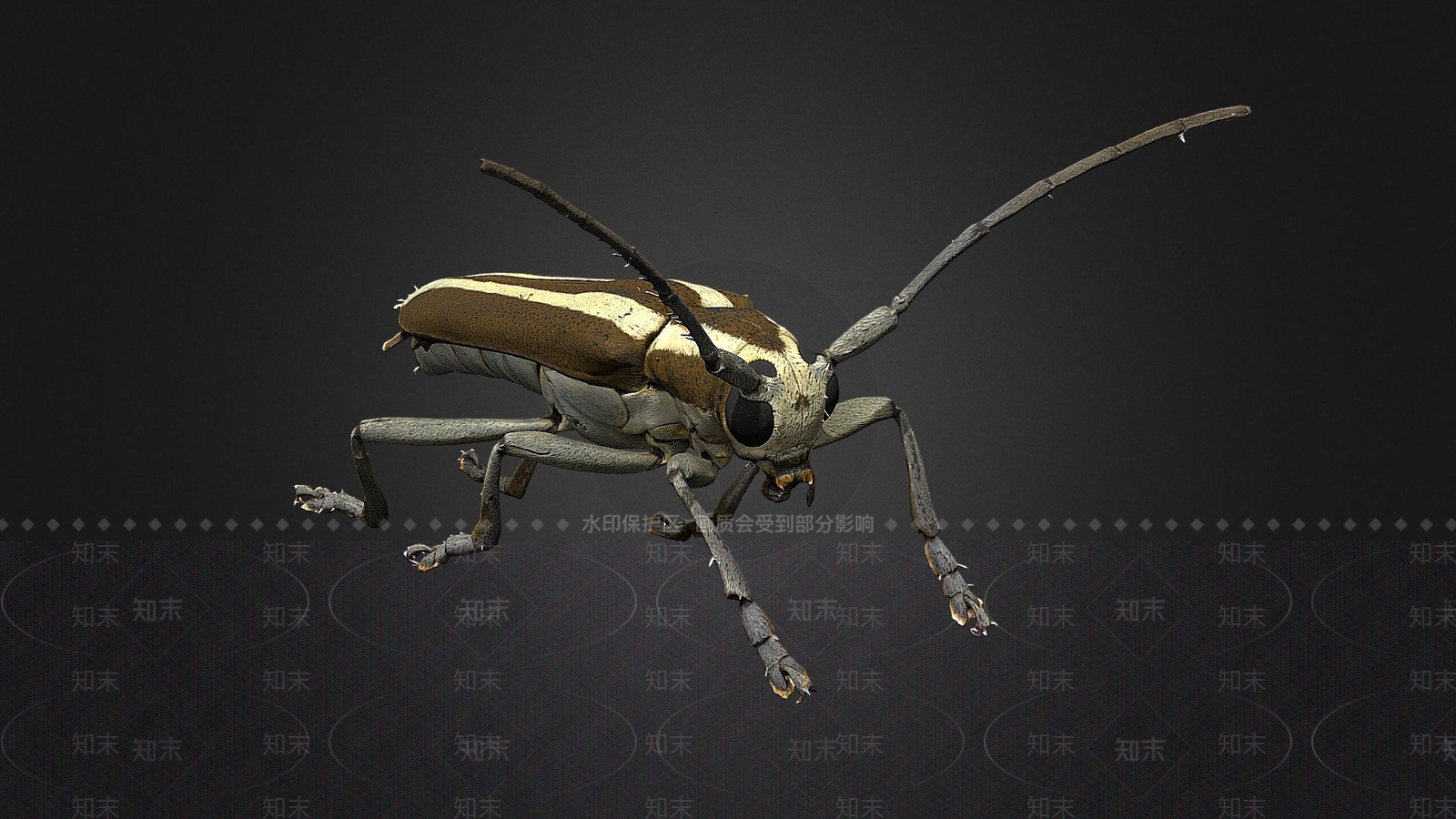 其他动物3D模型下载【ID:1197229941】