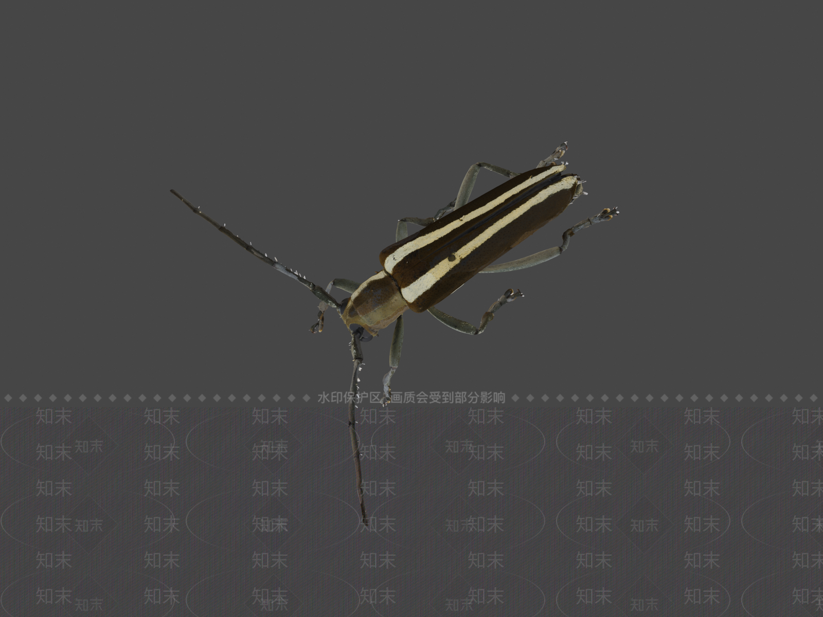 其他动物3D模型下载【ID:1197229941】