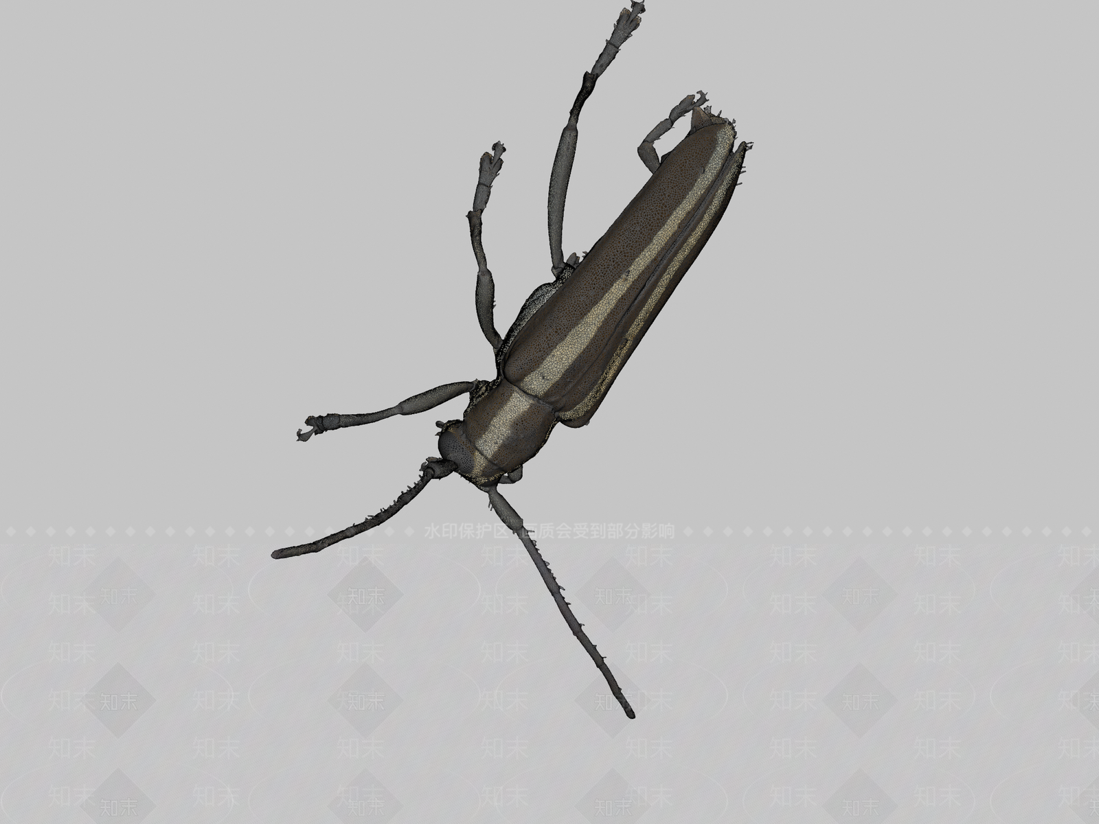 其他动物3D模型下载【ID:1197229941】
