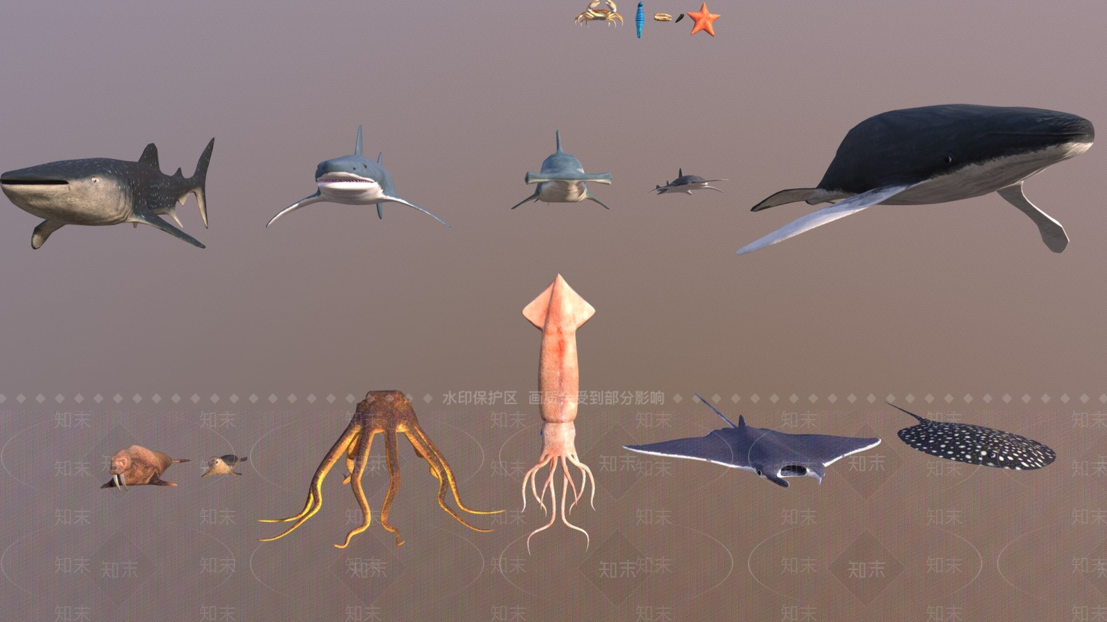 其他动物3D模型下载【ID:1197230635】
