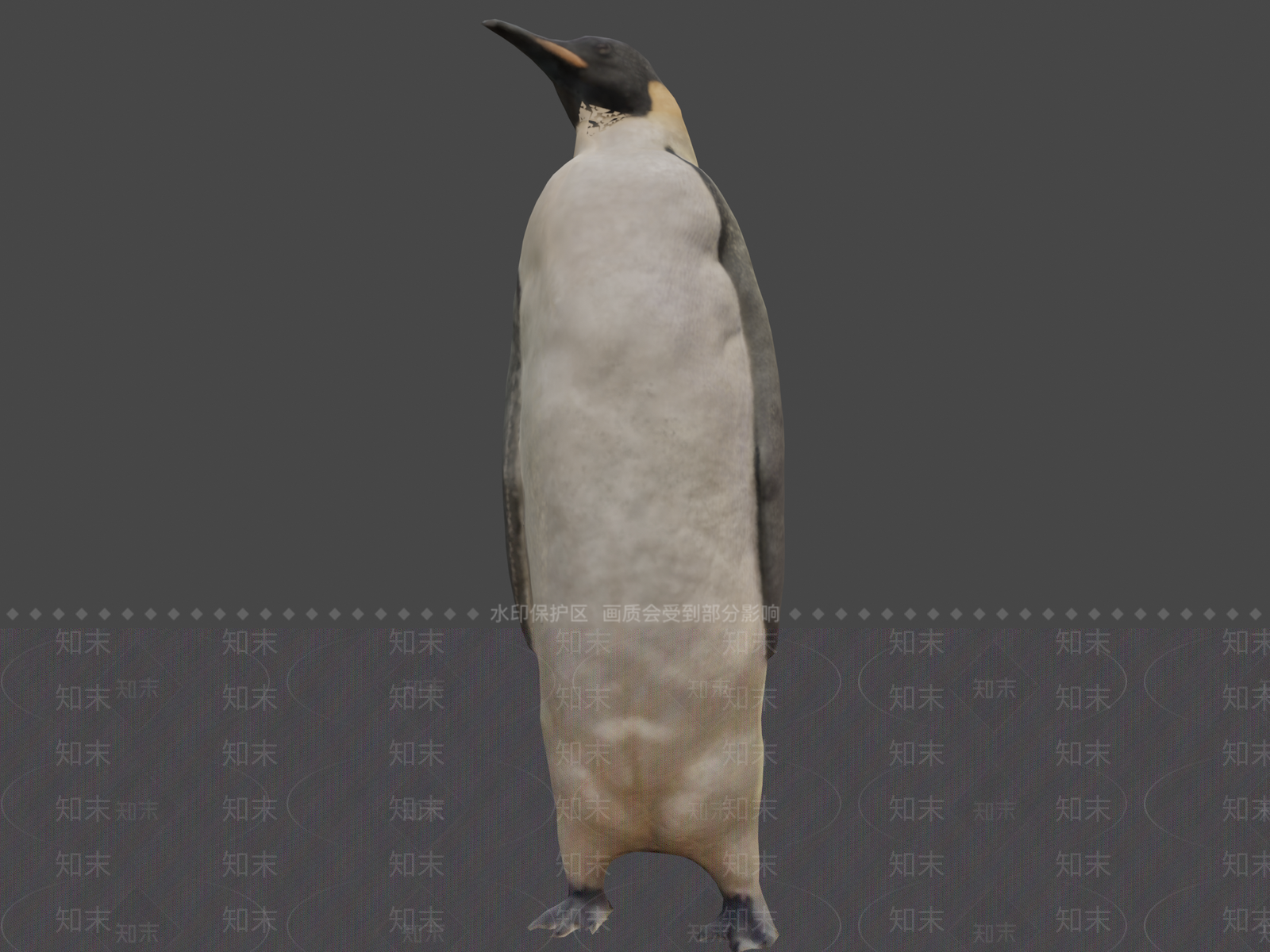 飞行类动物3D模型下载【ID:1197234647】