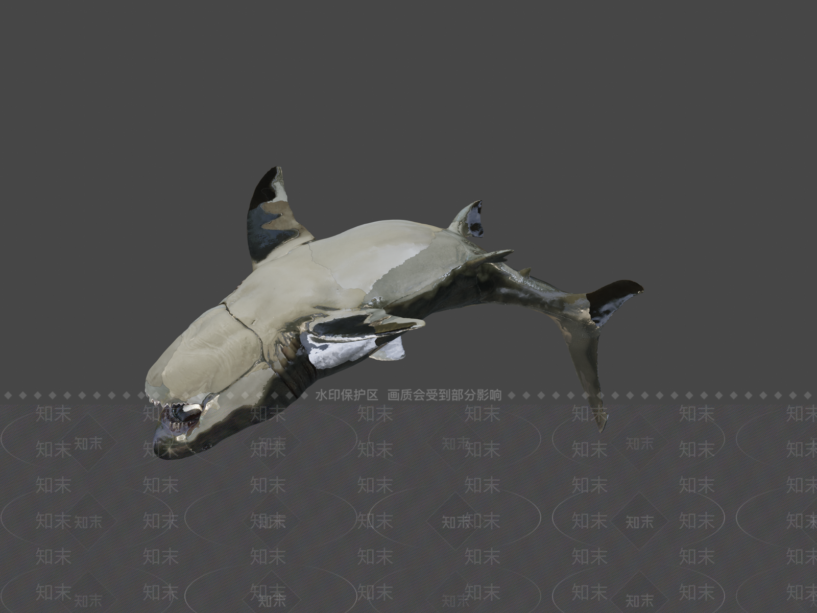 其他动物3D模型下载【ID:1197235413】
