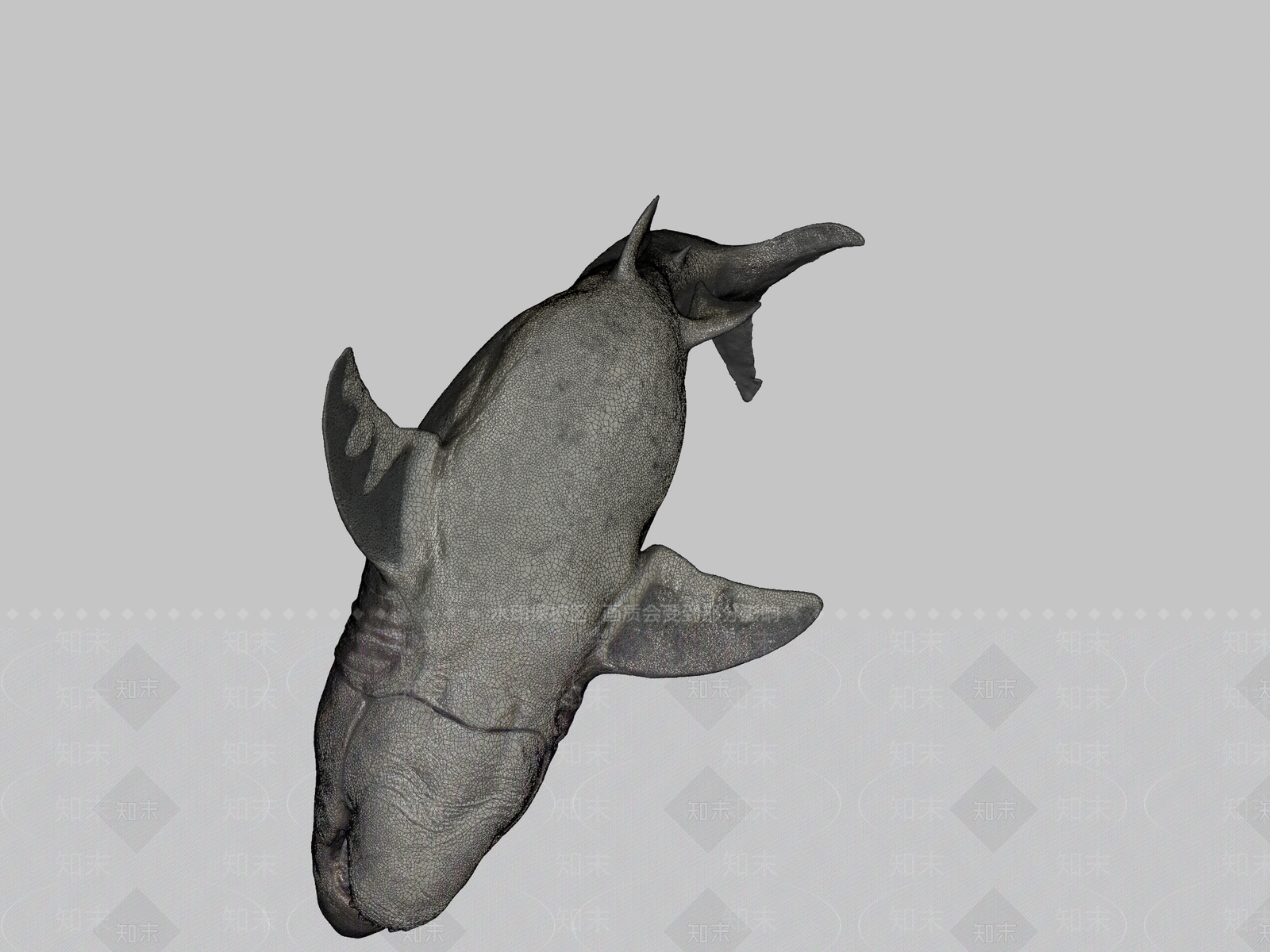其他动物3D模型下载【ID:1197235413】