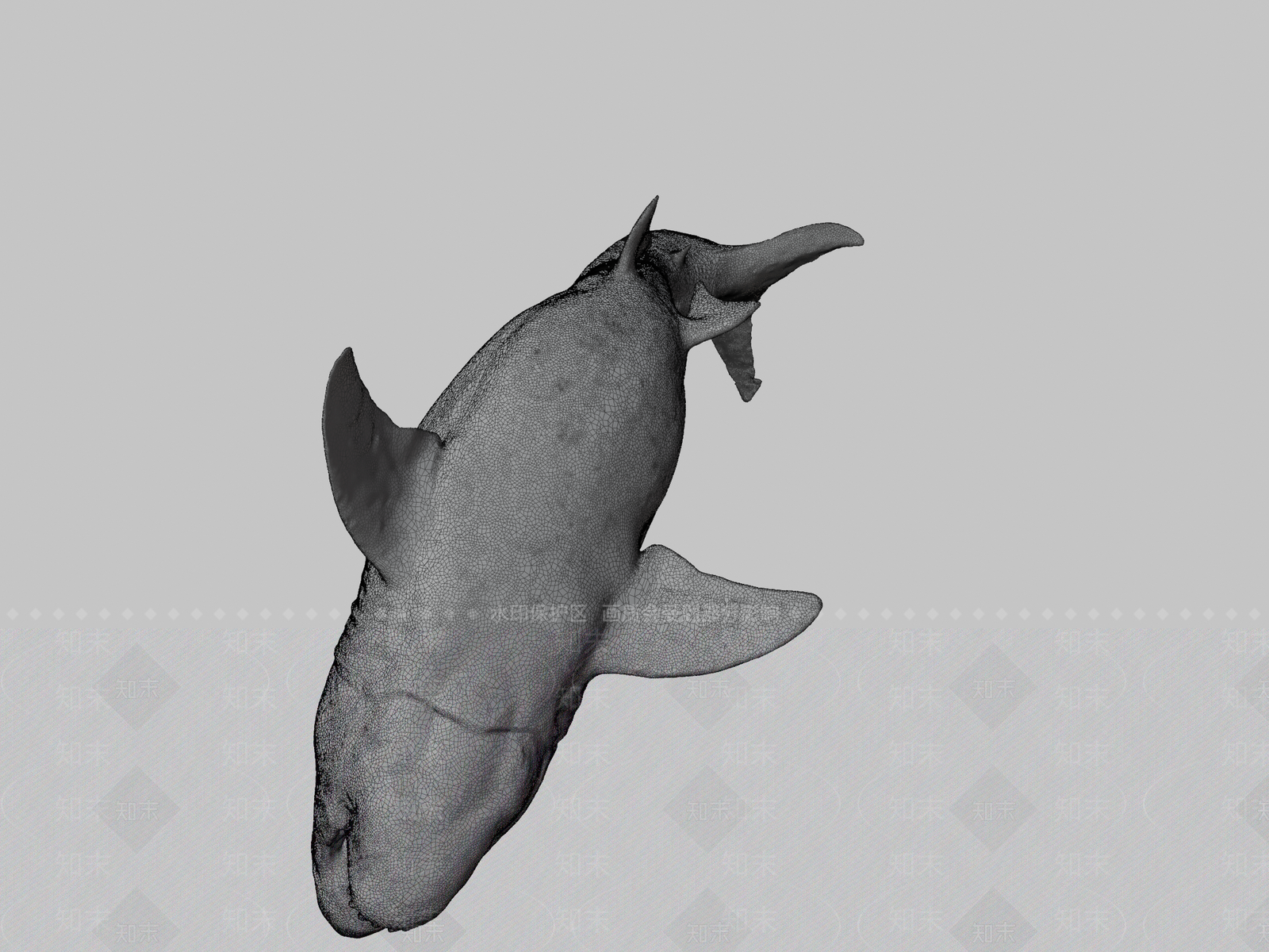 其他动物3D模型下载【ID:1197235413】