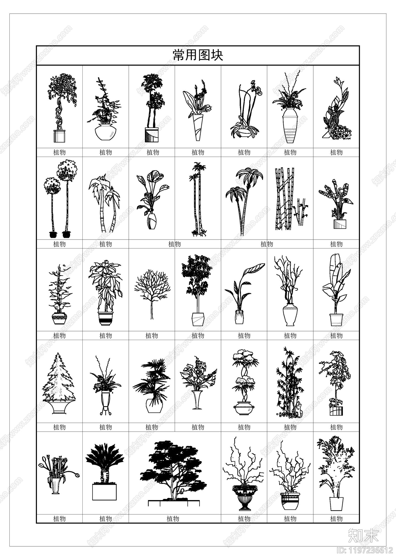 现代综合植物图库cad施工图下载【ID:1197236612】