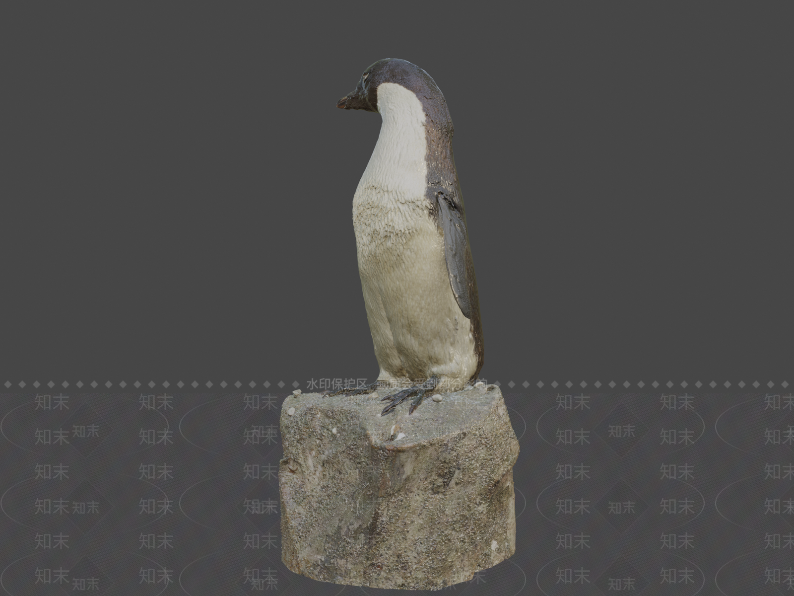 其他动物3D模型下载【ID:1197236864】