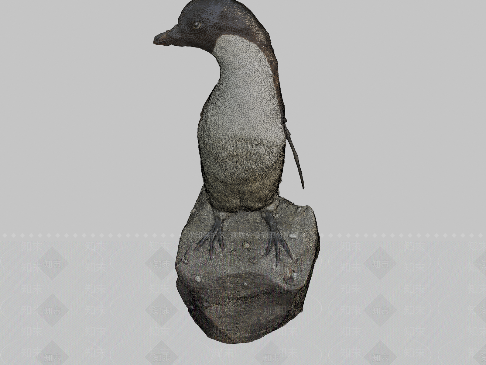 其他动物3D模型下载【ID:1197236864】