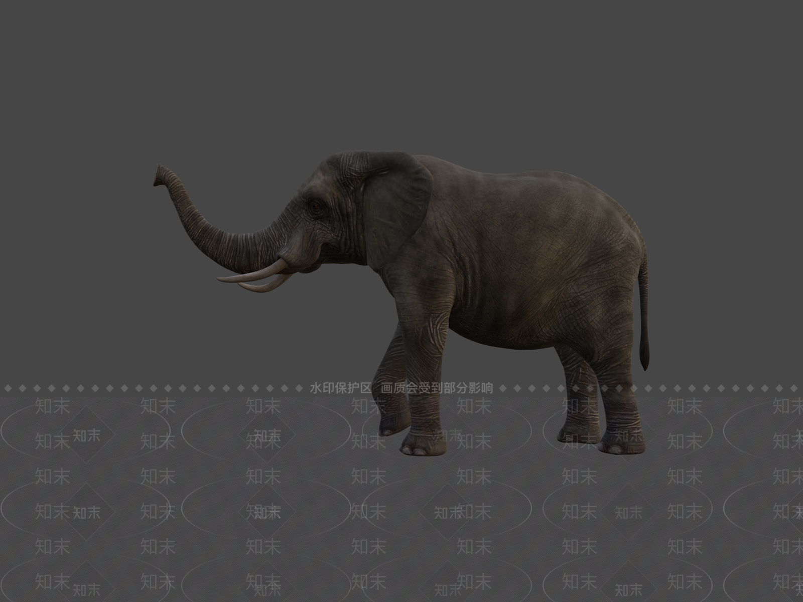 其他动物3D模型下载【ID:1197237082】