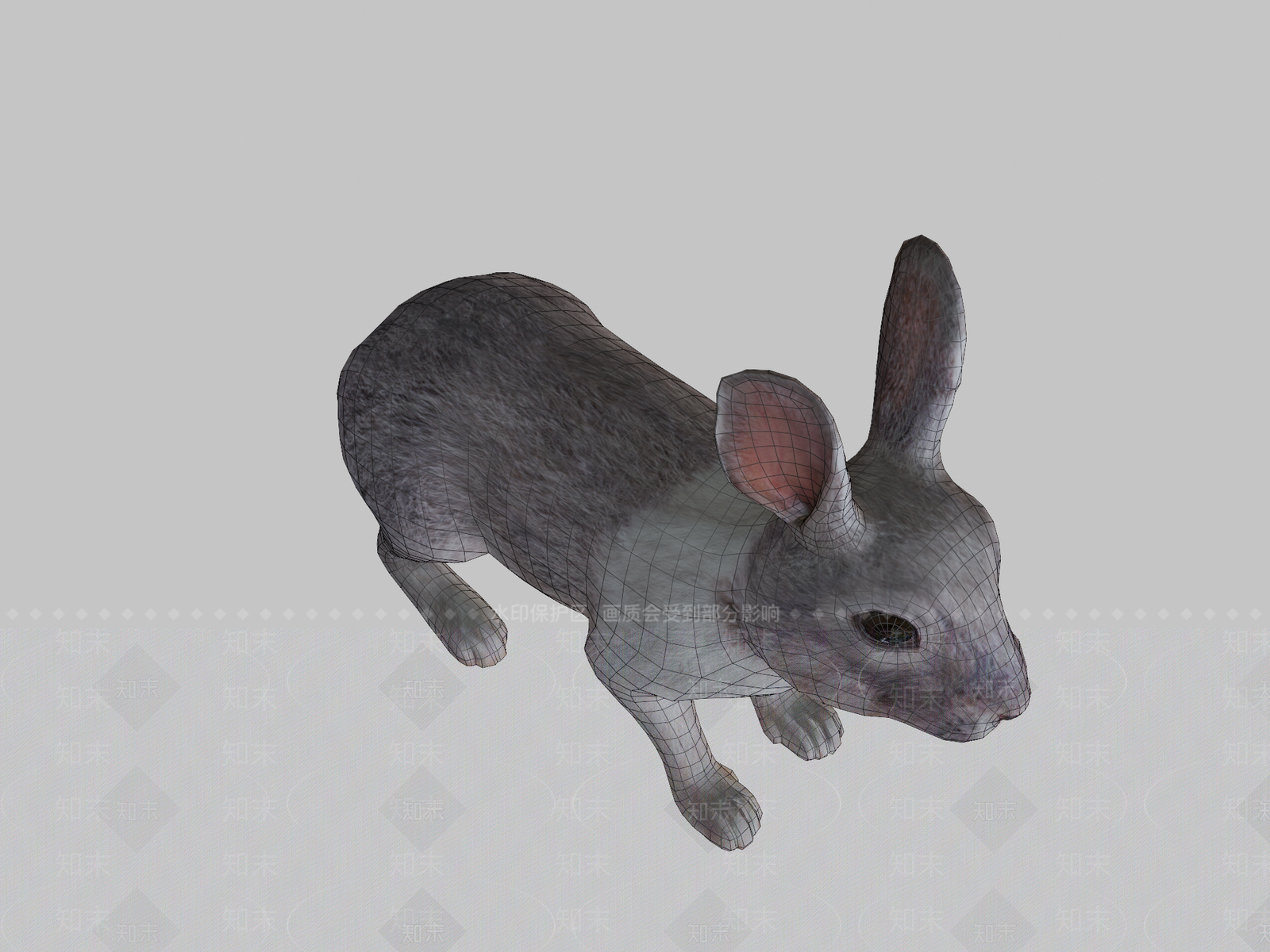 其他动物3D模型下载【ID:1197238300】
