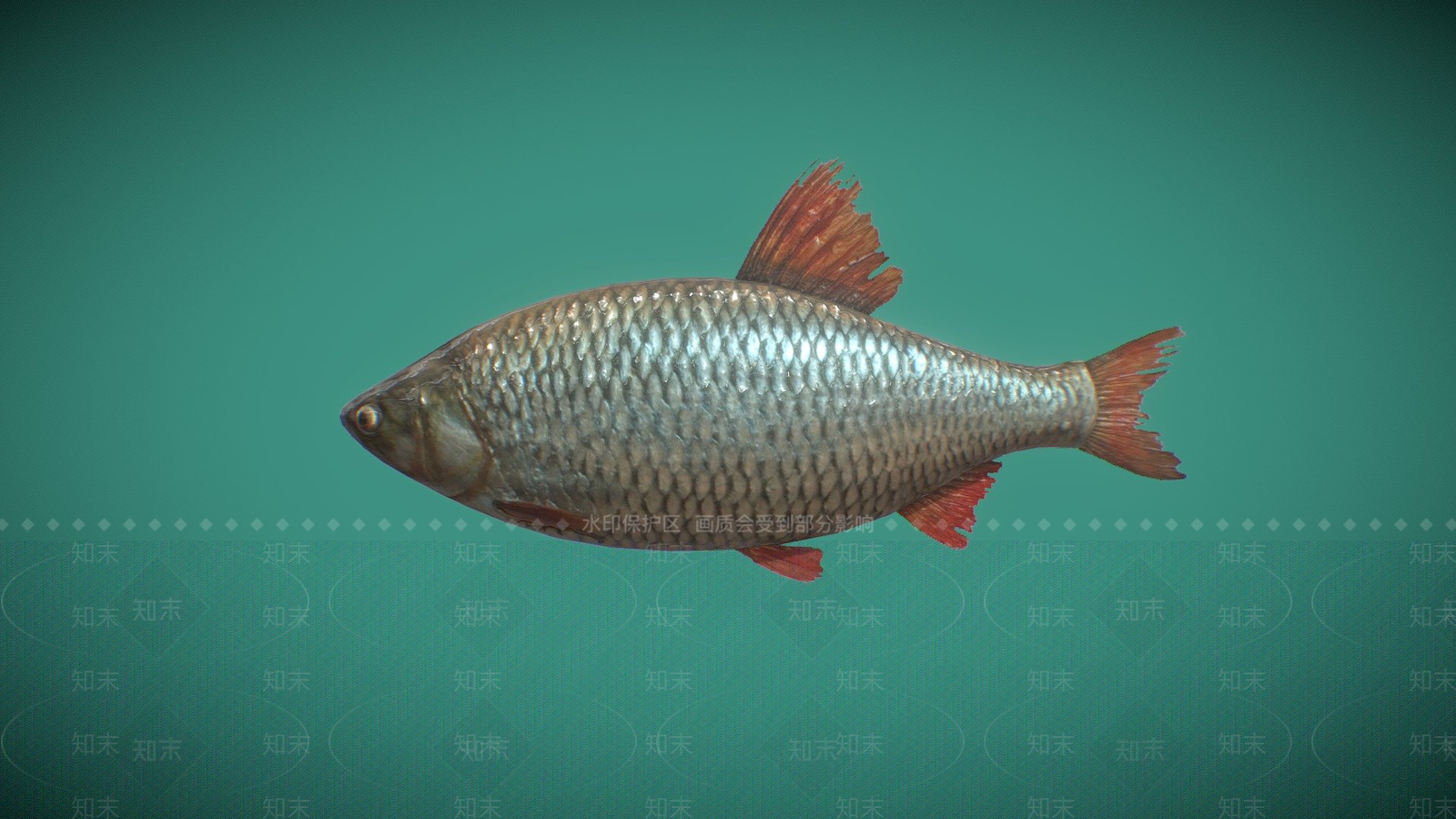 其他动物3D模型下载【ID:1197238411】