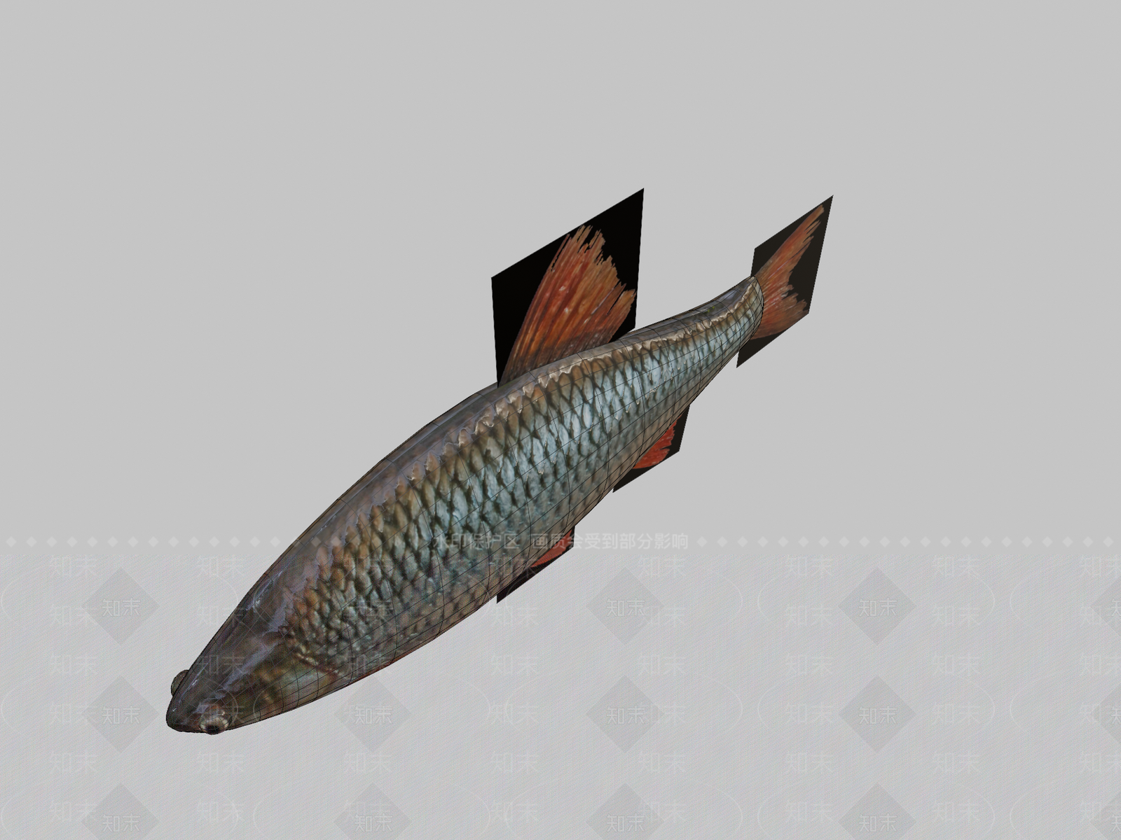 其他动物3D模型下载【ID:1197238411】