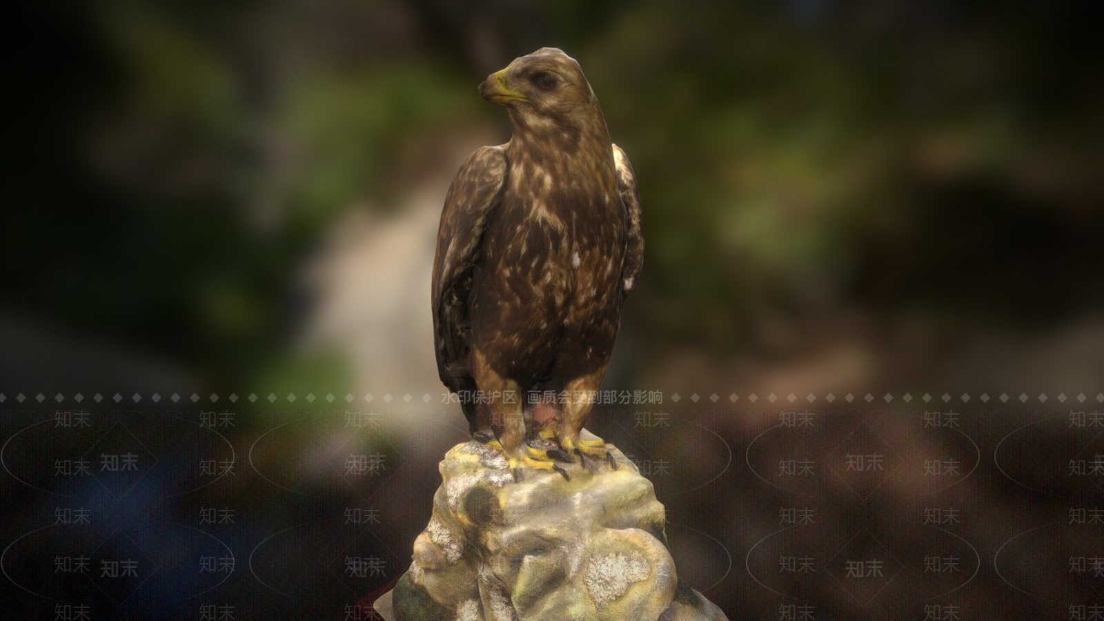 其他动物3D模型下载【ID:1197239106】